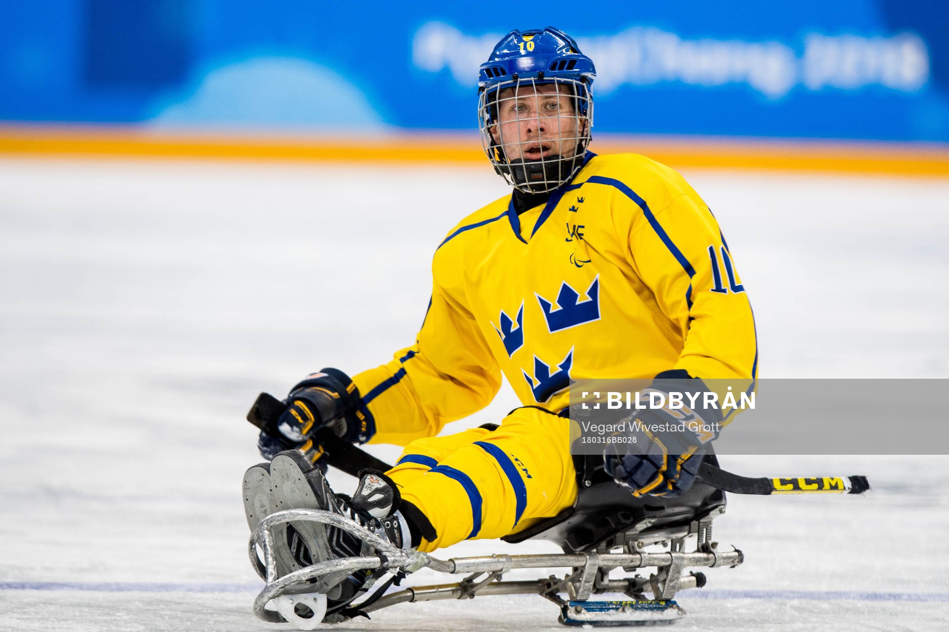 Robin Meng of Sweden