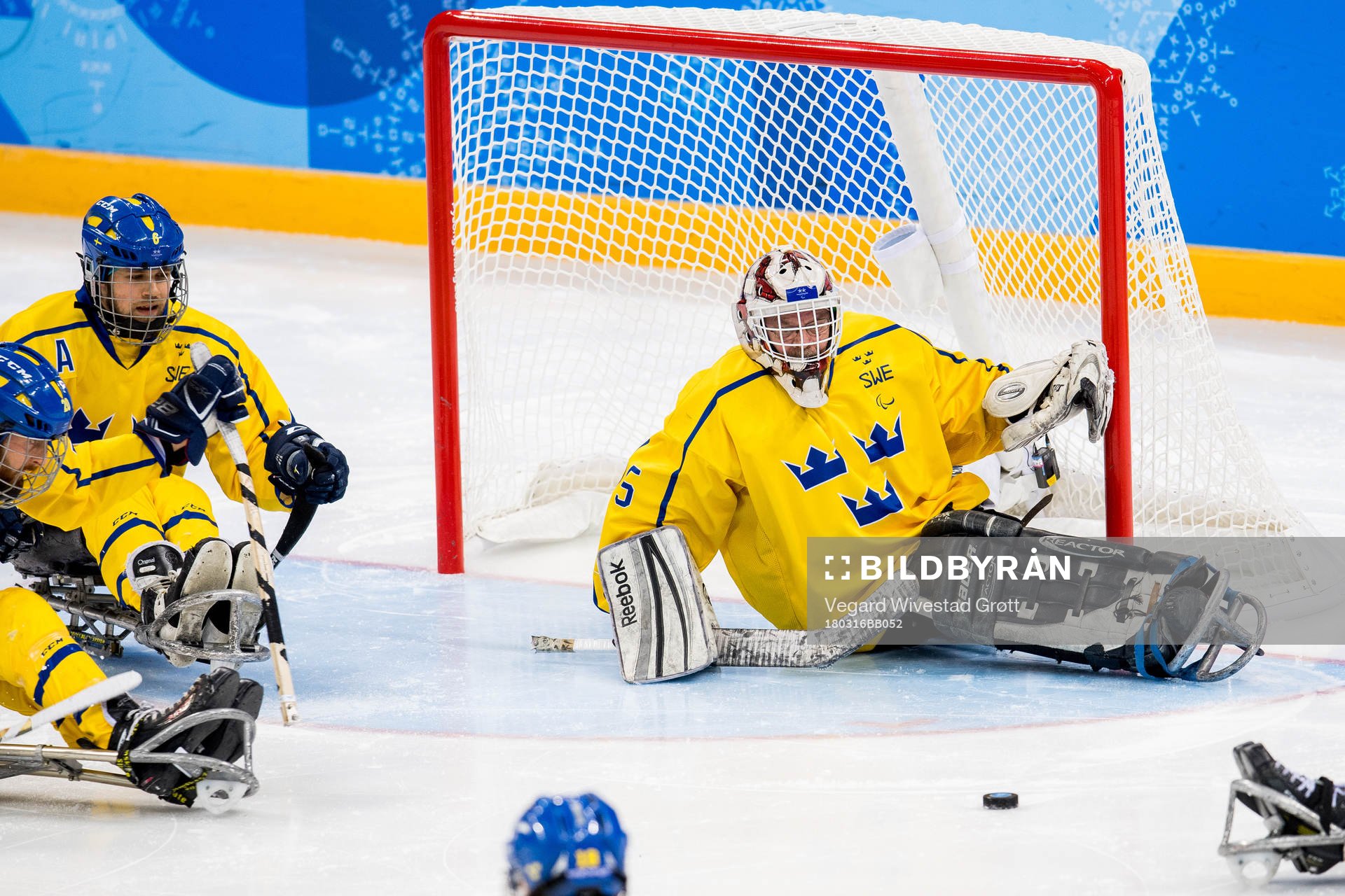 Goaltender Ulf Nilsson of Sweden