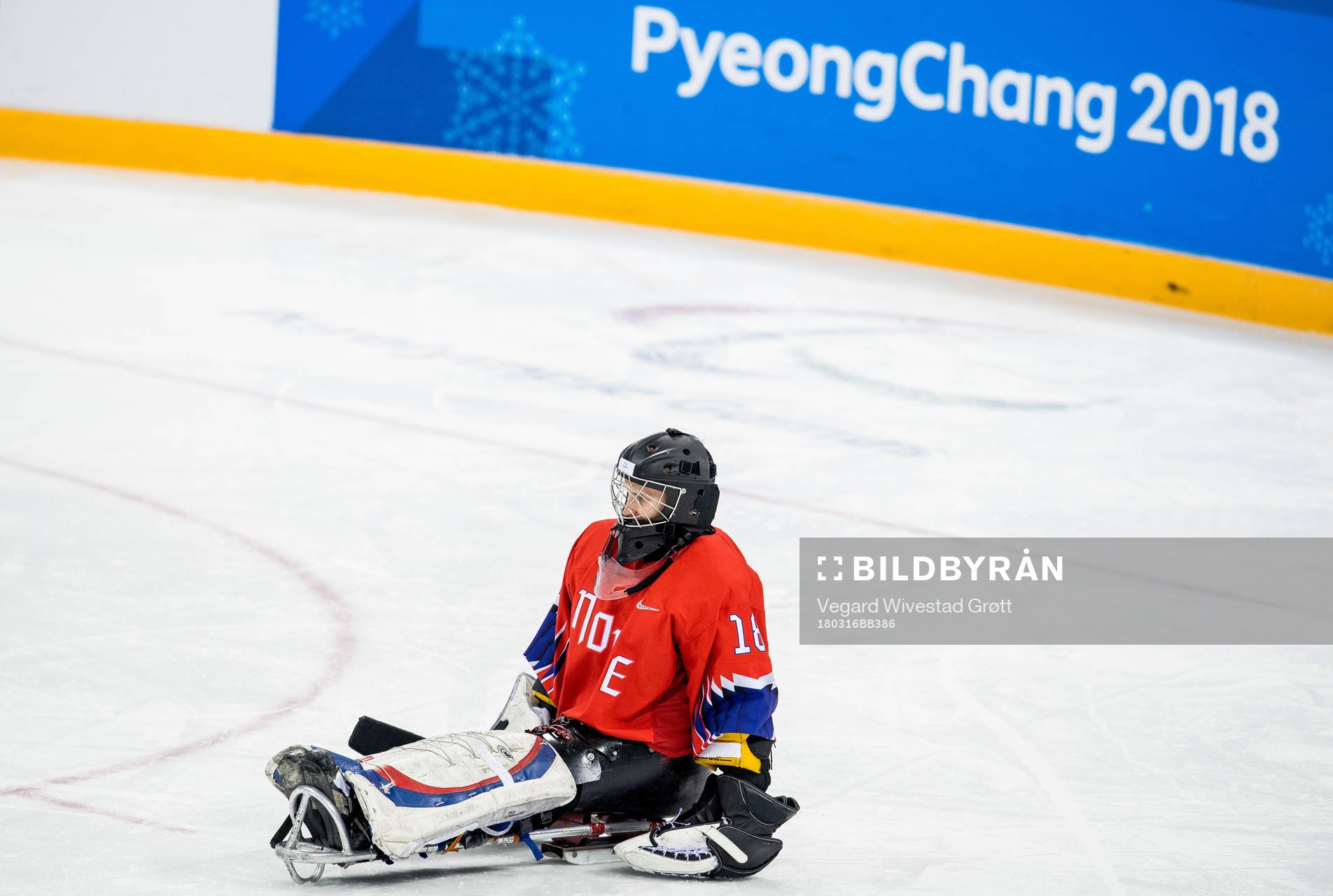 Goaltender Kjell Christian Hamar of Norway
