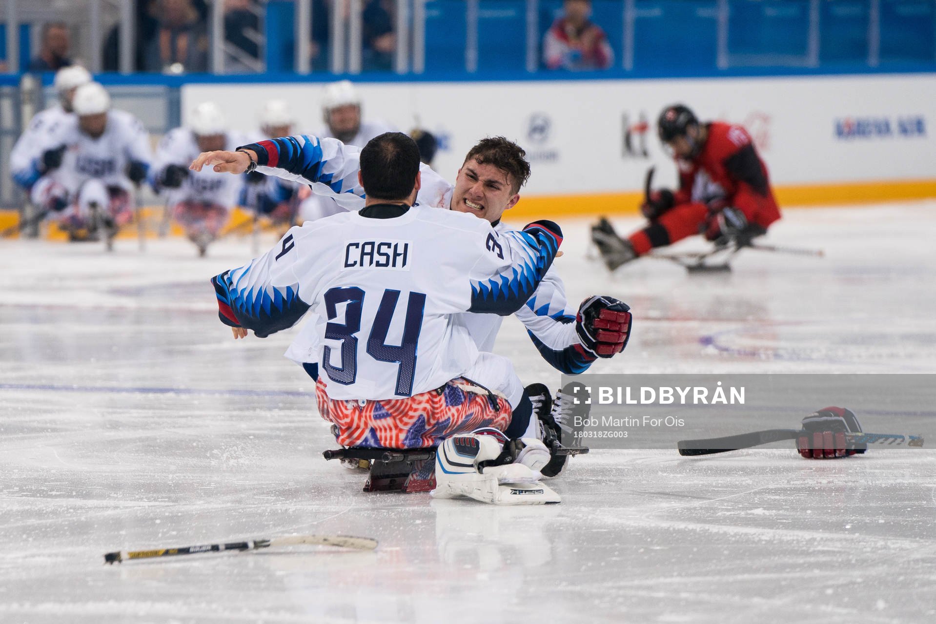 2018 Winter Paralympics, Day 9, Para Ice Hockey, Final,