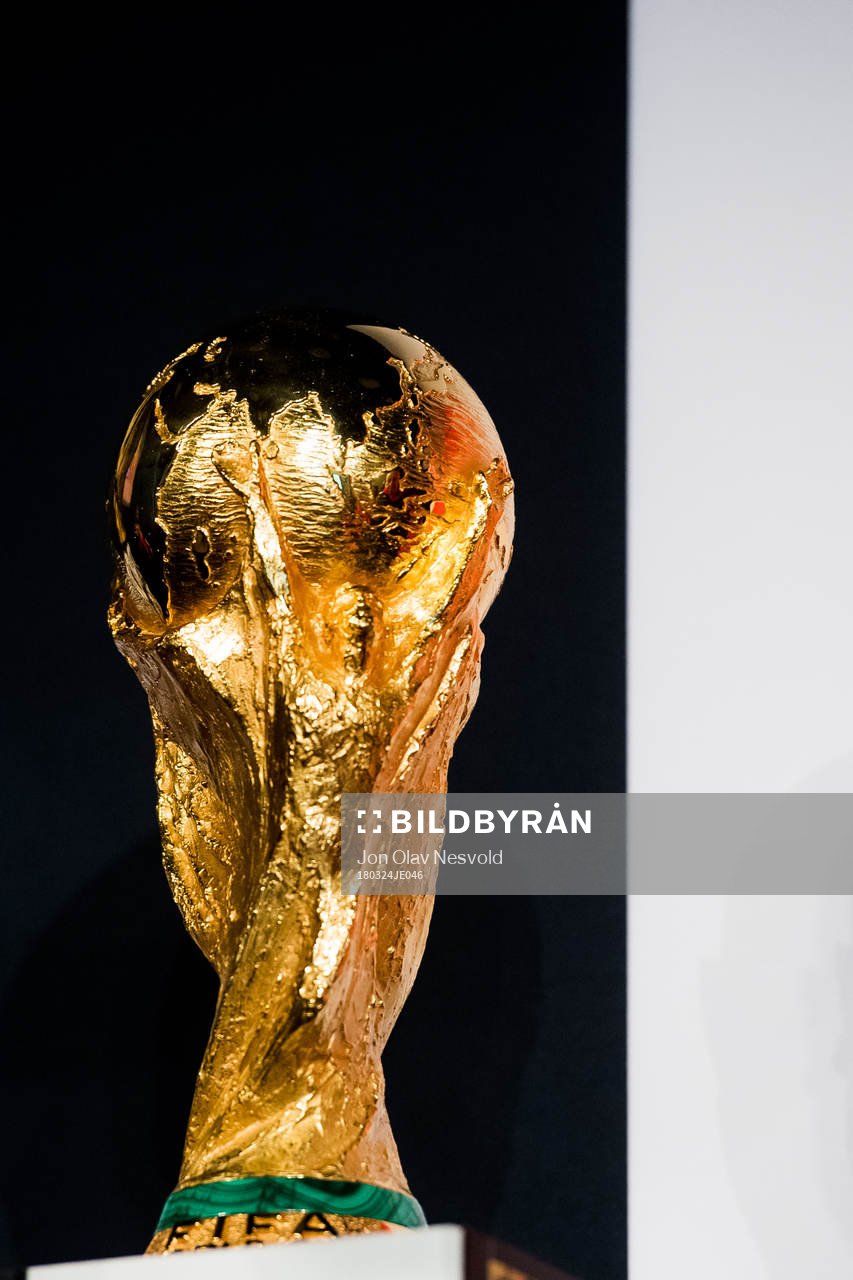 The World Cup Trophy