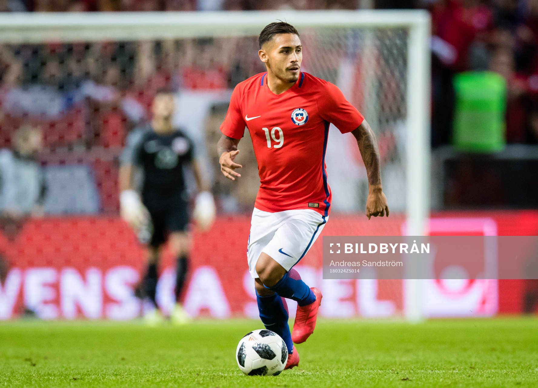 Chiles Marcos Bolados