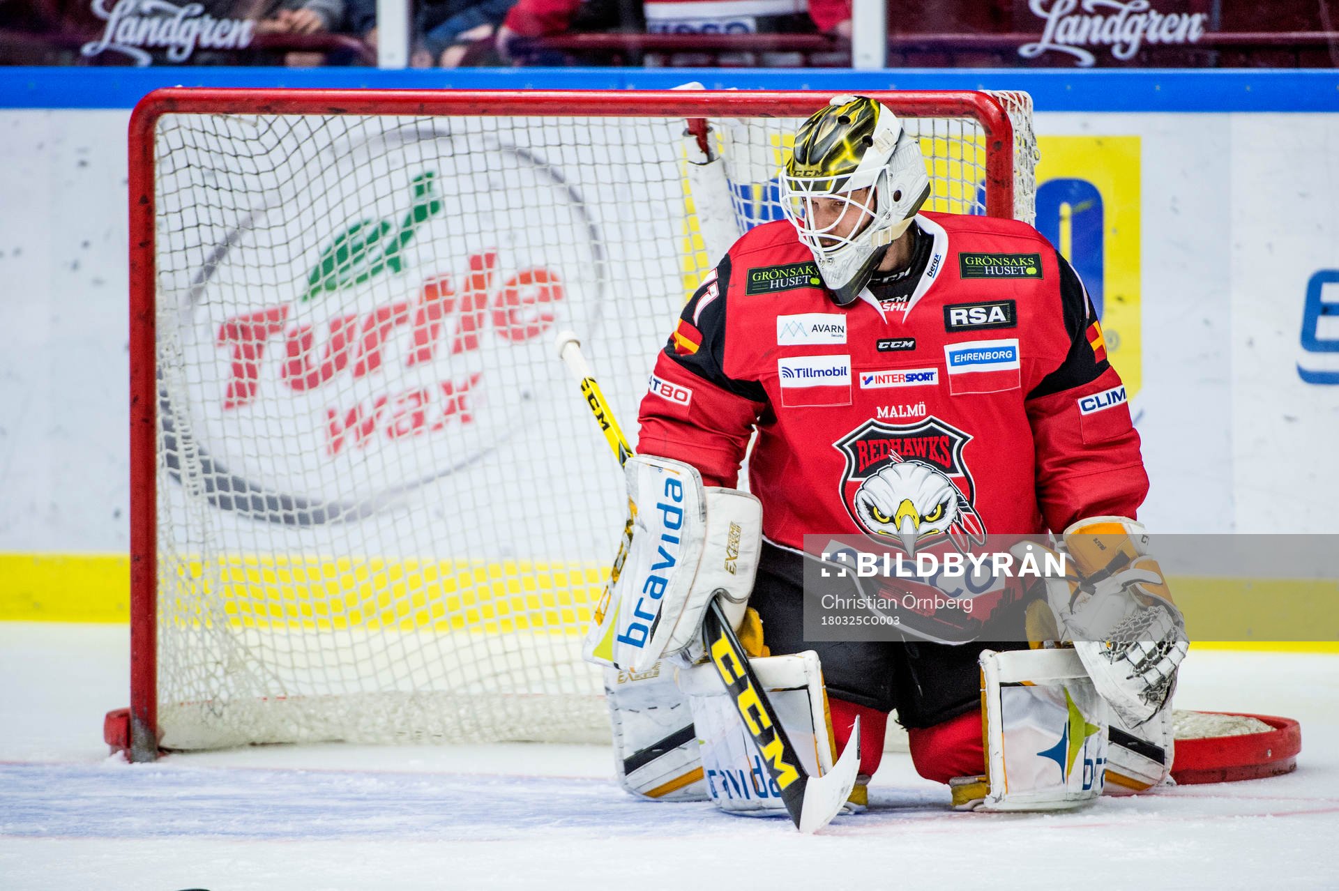 Malmö Redhawks målvakt Jonatan Bjurö innan kvartsfinal 4
