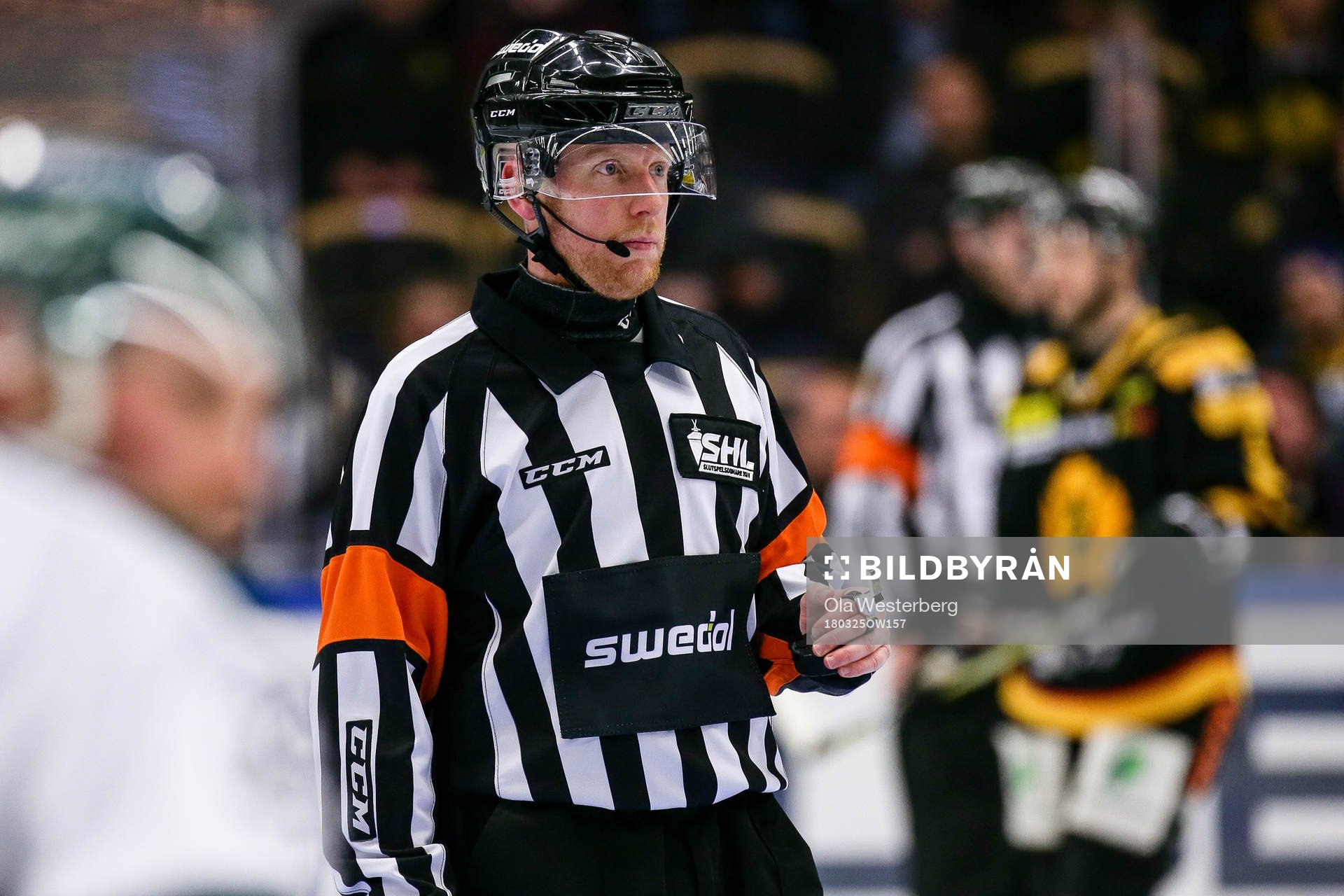 Domaren Mikael Holm