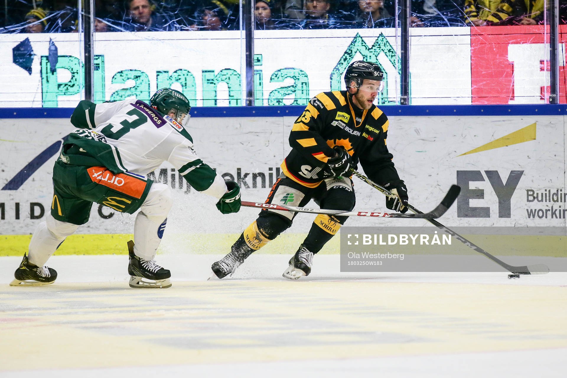 Skellefteås Mark Katic