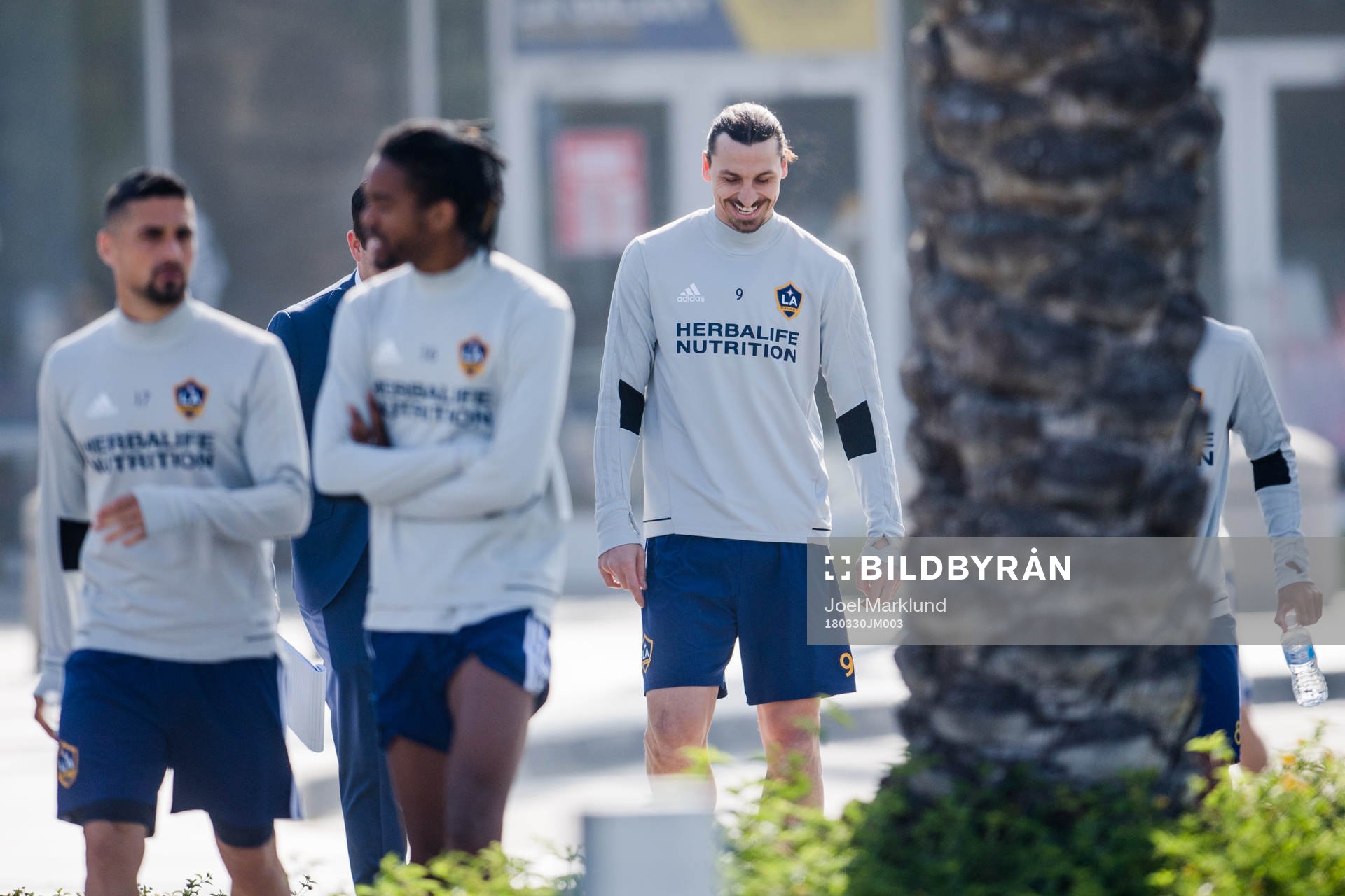 Zlatan Ibrahimovic