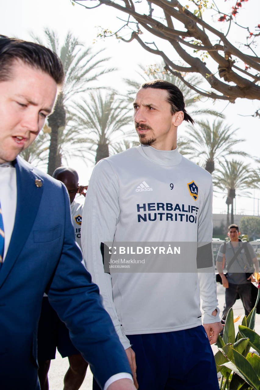 Zlatan Ibrahimovic