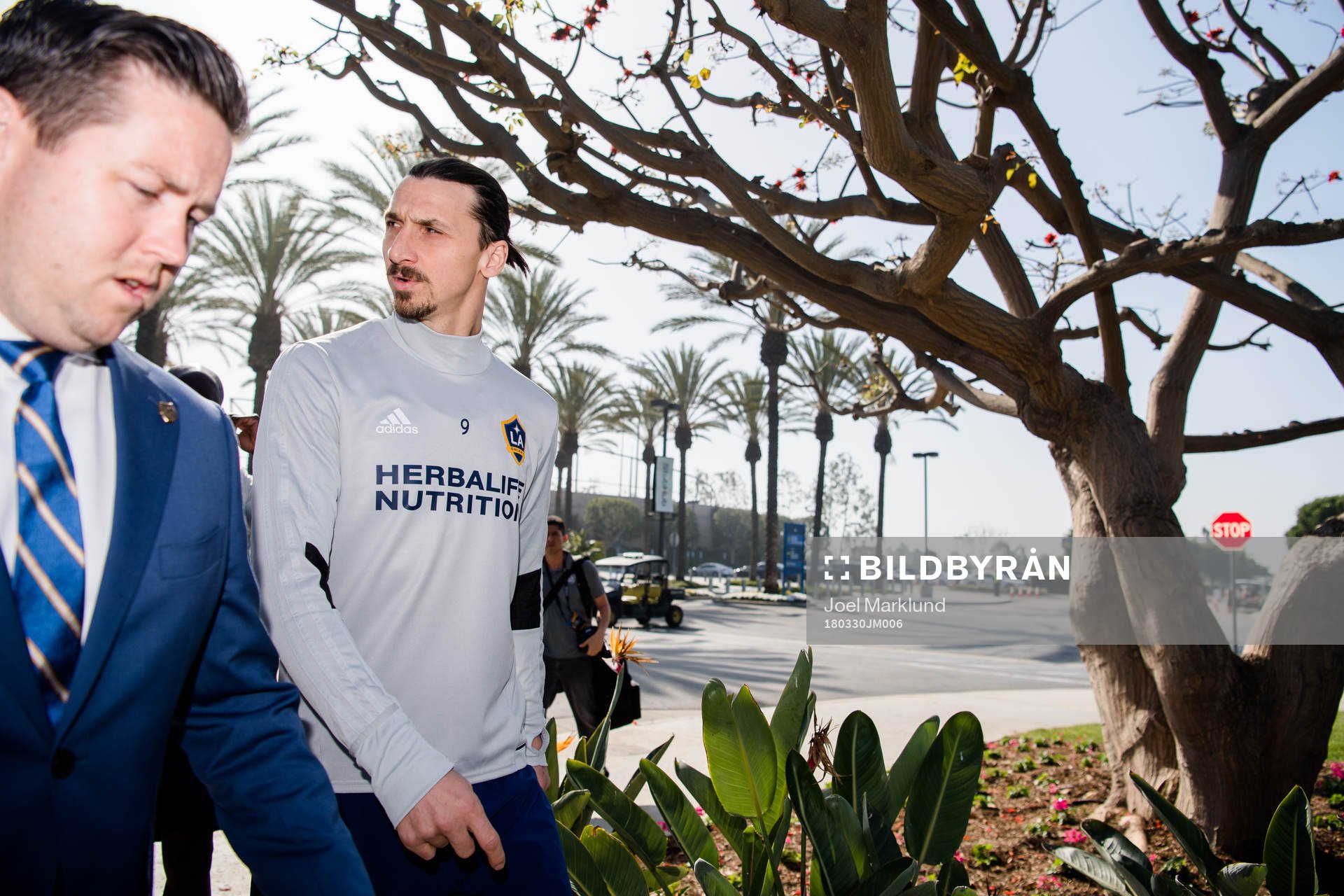 Zlatan Ibrahimovic