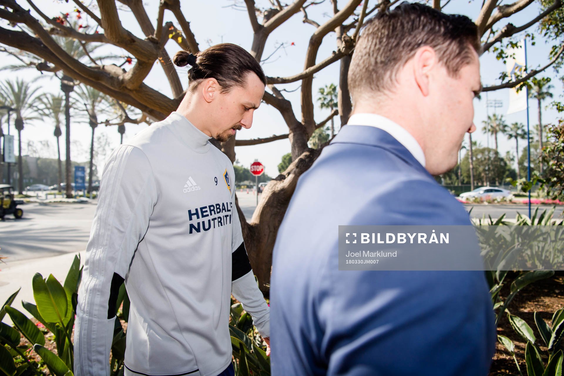 Zlatan Ibrahimovic