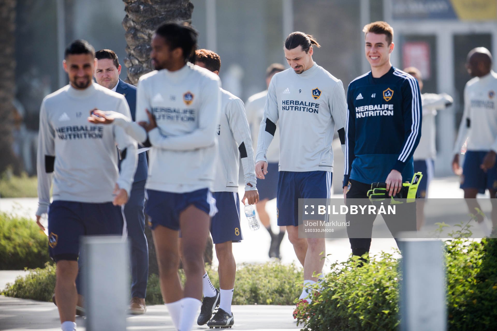 Zlatan Ibrahimovic