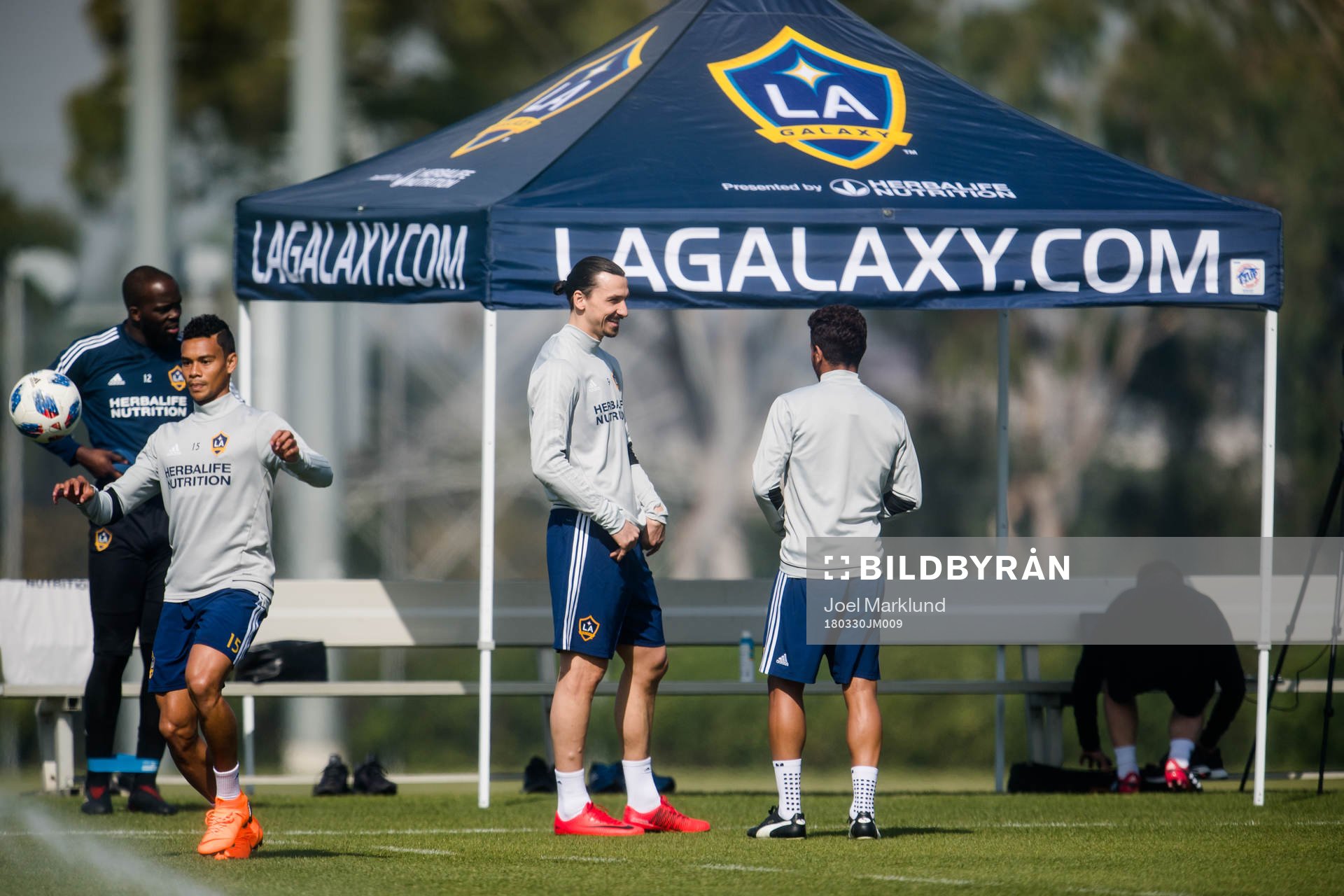 Zlatan Ibrahimovic