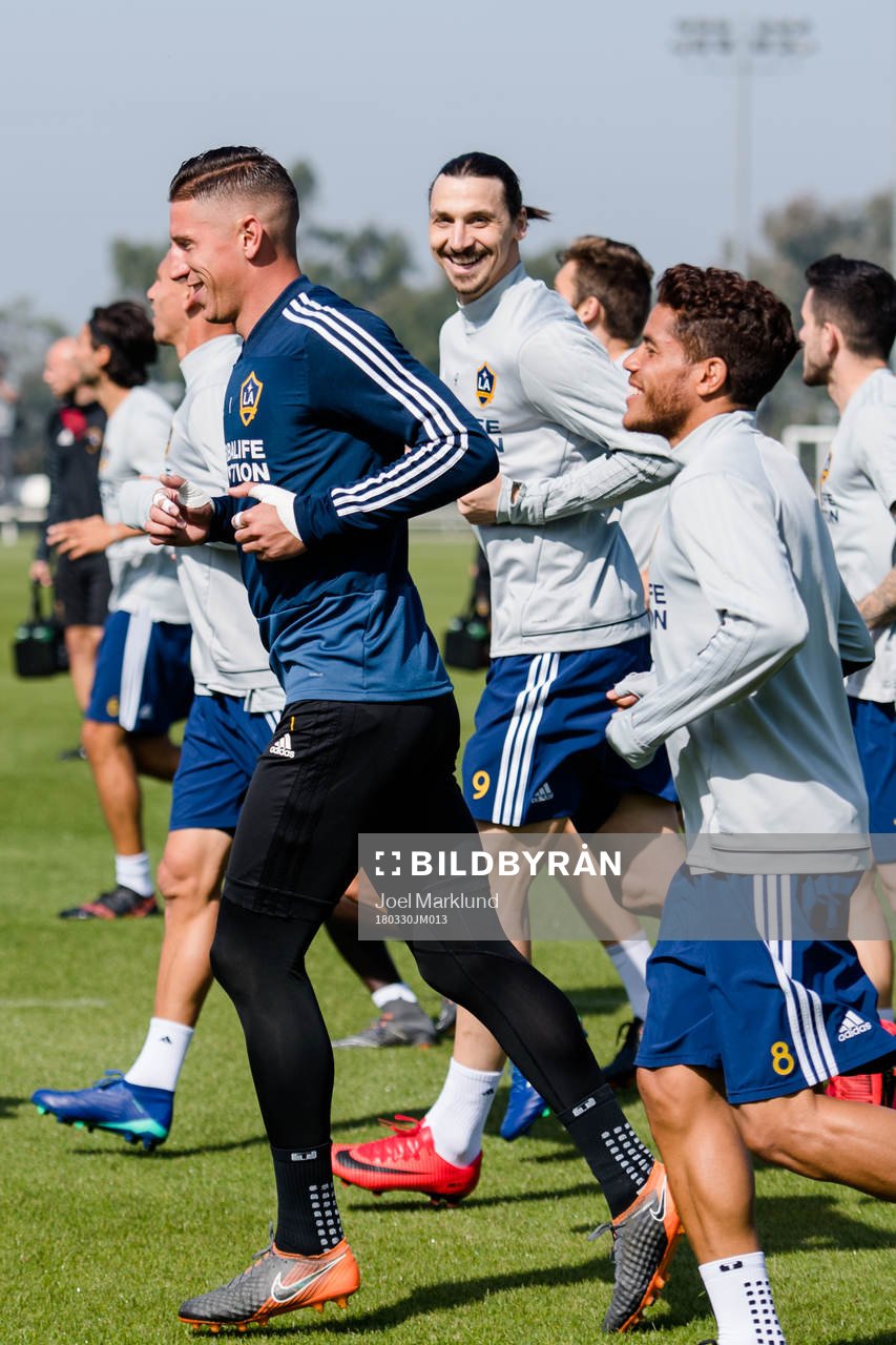 Zlatan Ibrahimovic