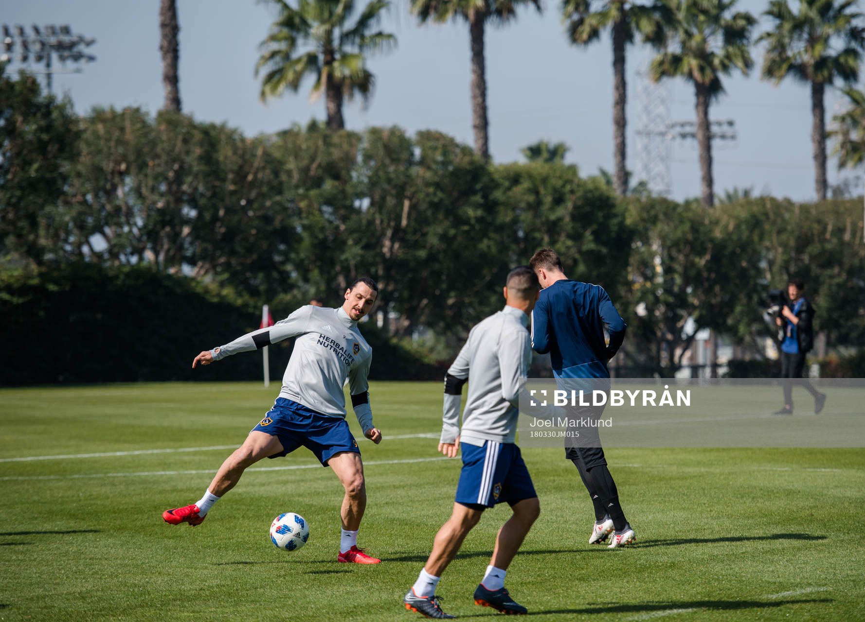 Zlatan Ibrahimovic
