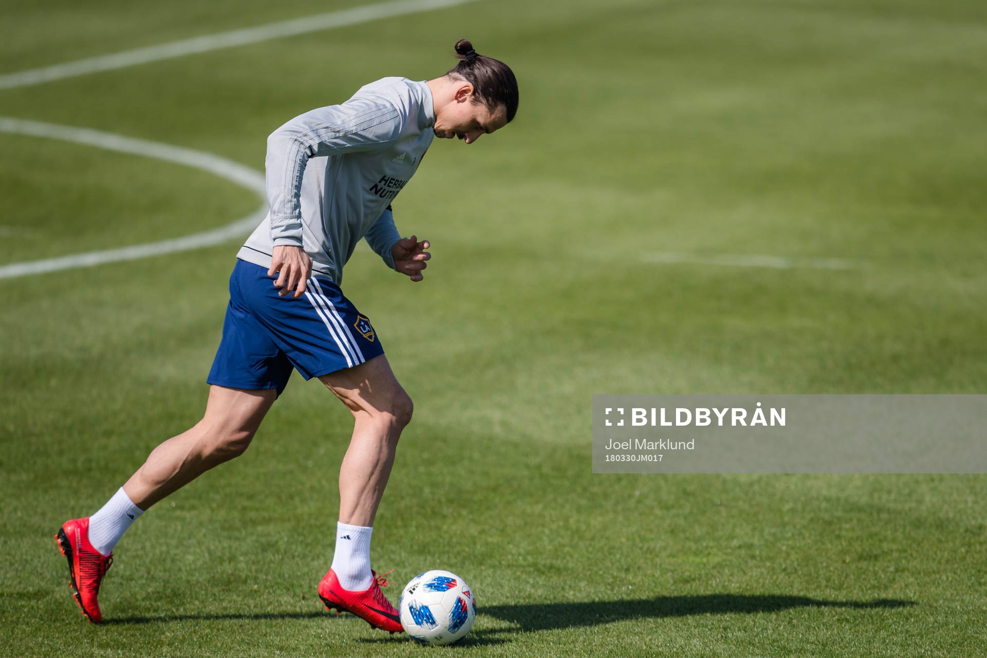Zlatan Ibrahimovic