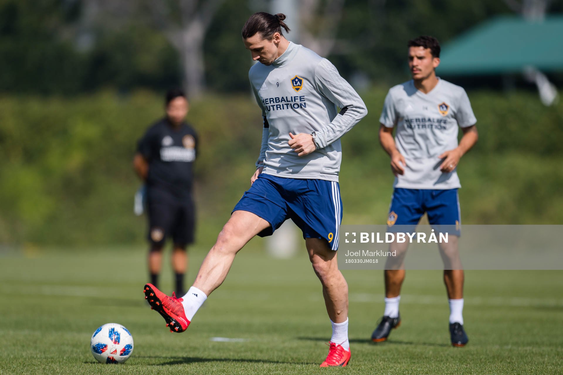 Zlatan Ibrahimovic