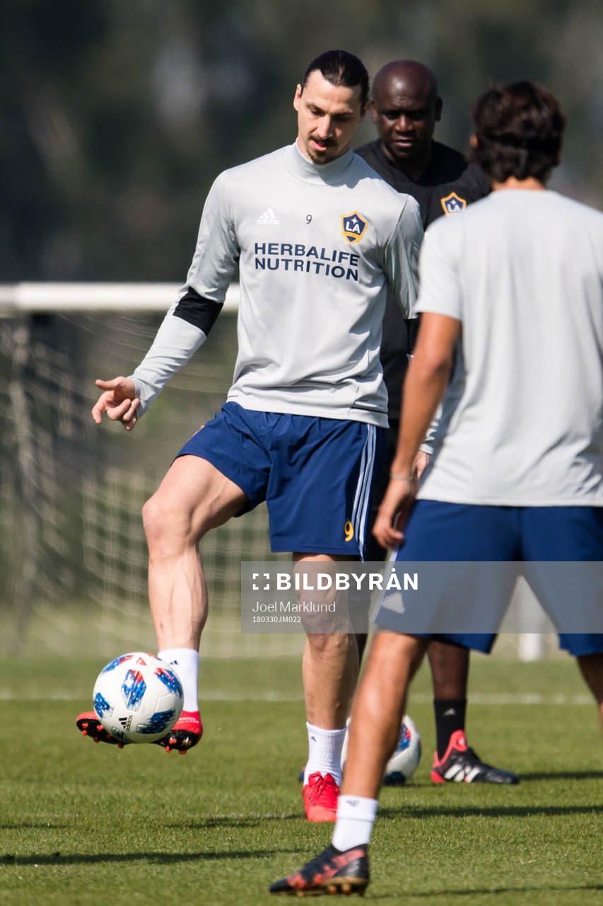 Zlatan Ibrahimovic