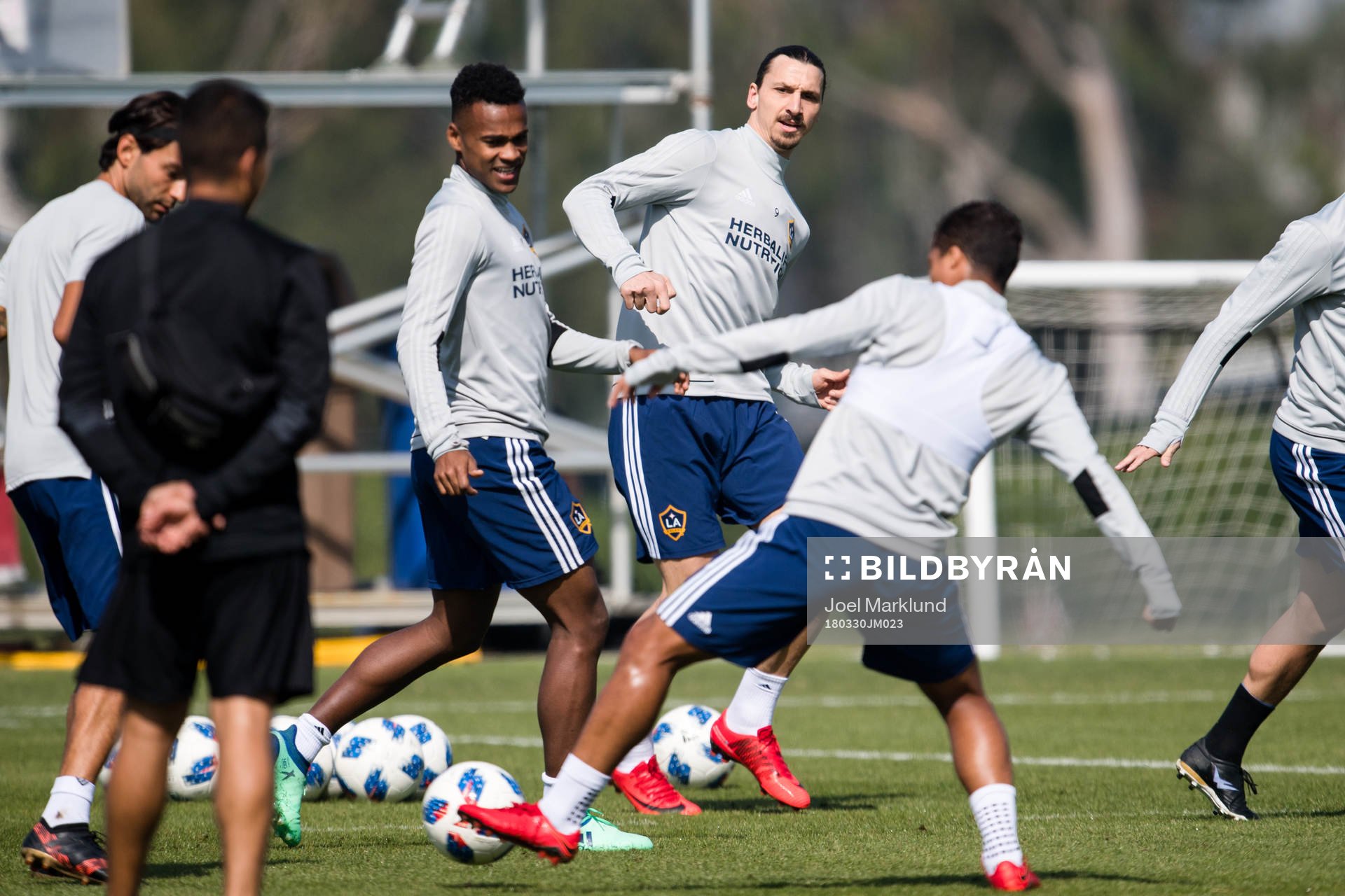 Zlatan Ibrahimovic