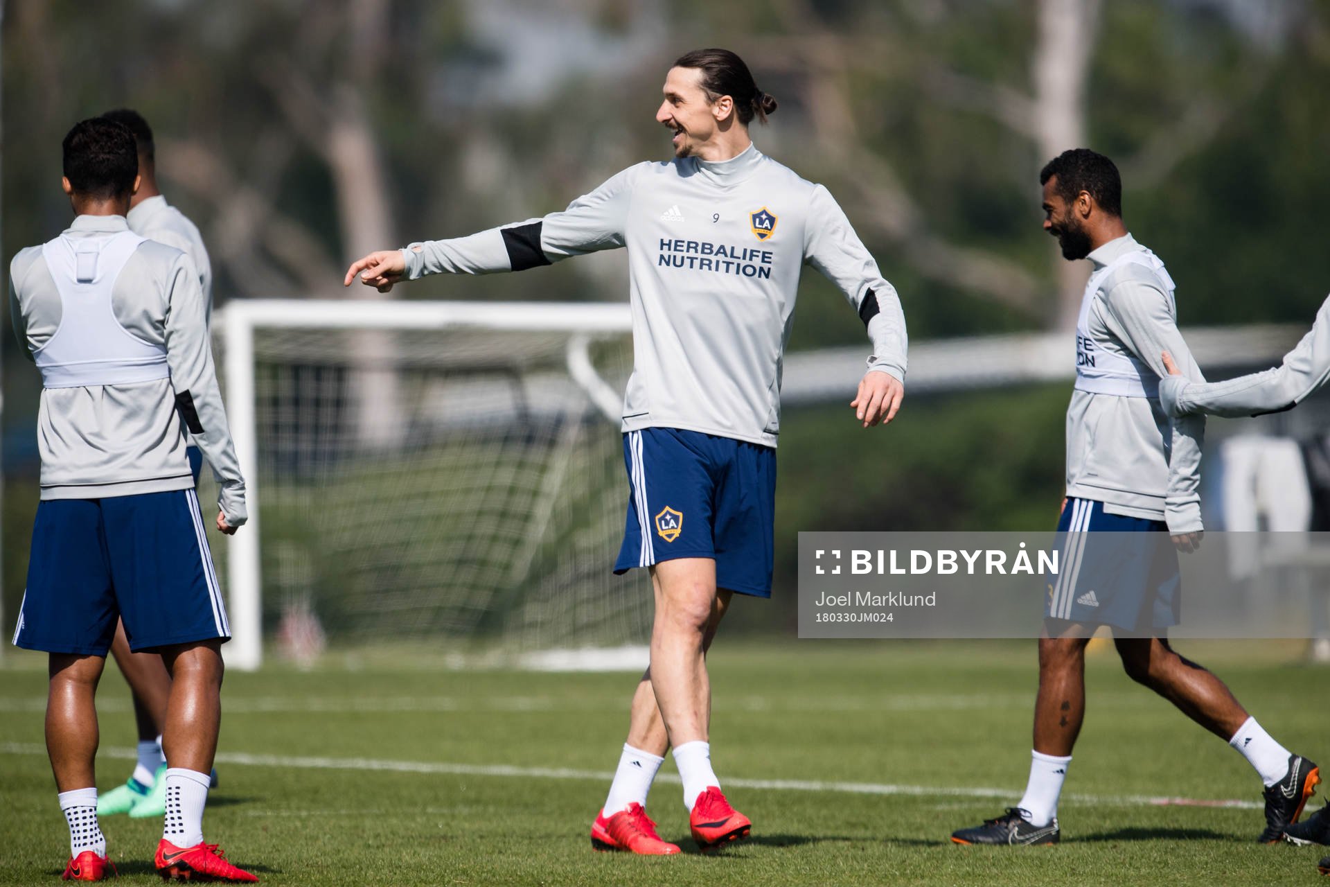 Zlatan Ibrahimovic
