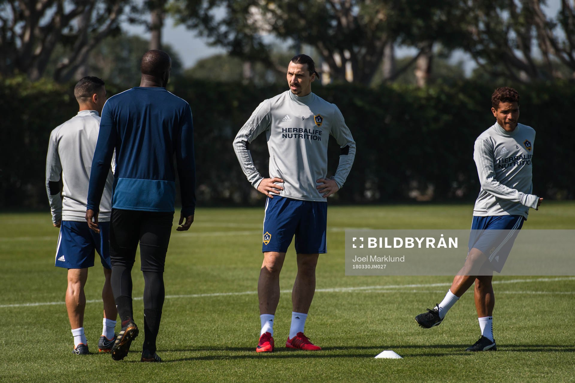 Zlatan Ibrahimovic