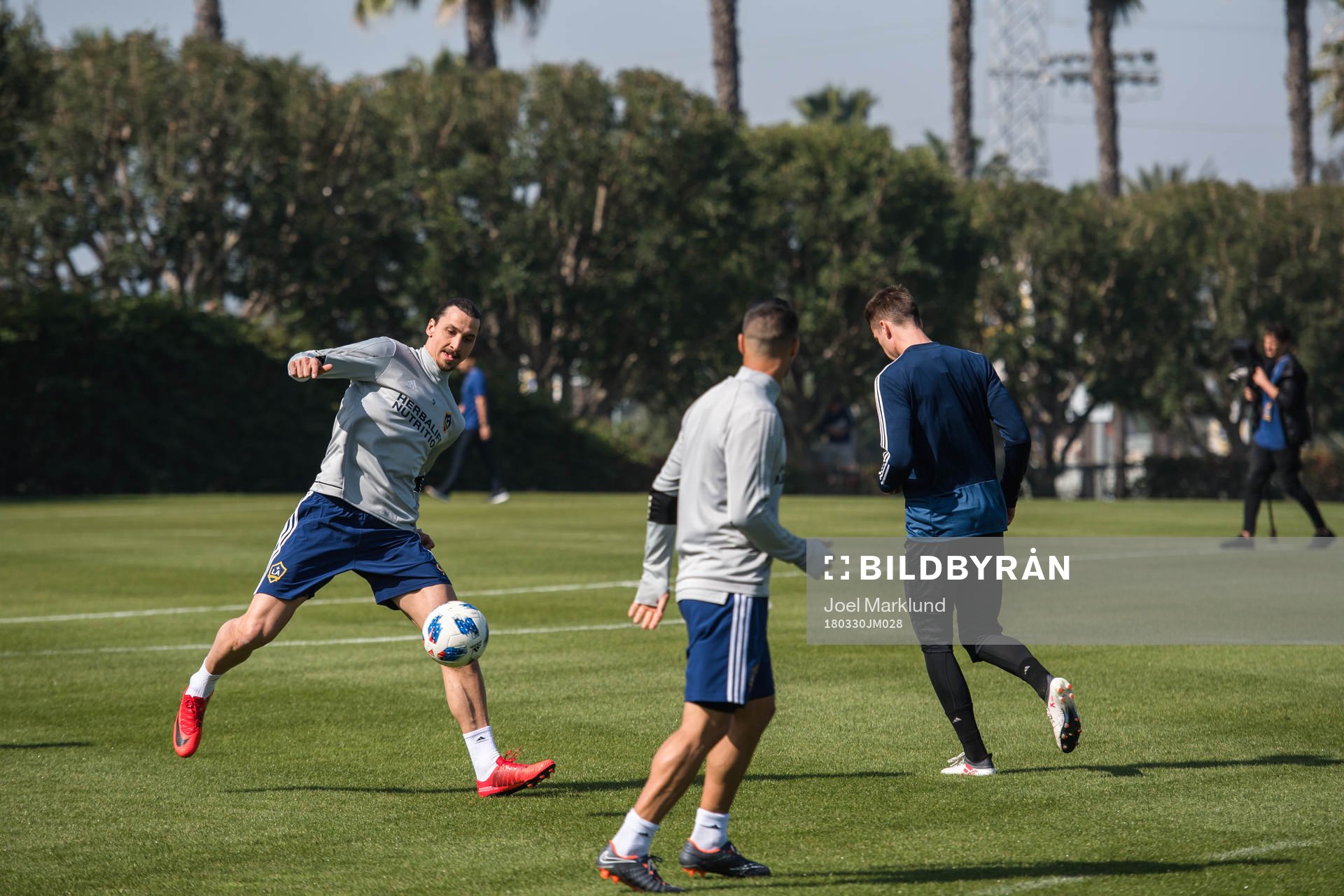 Zlatan Ibrahimovic