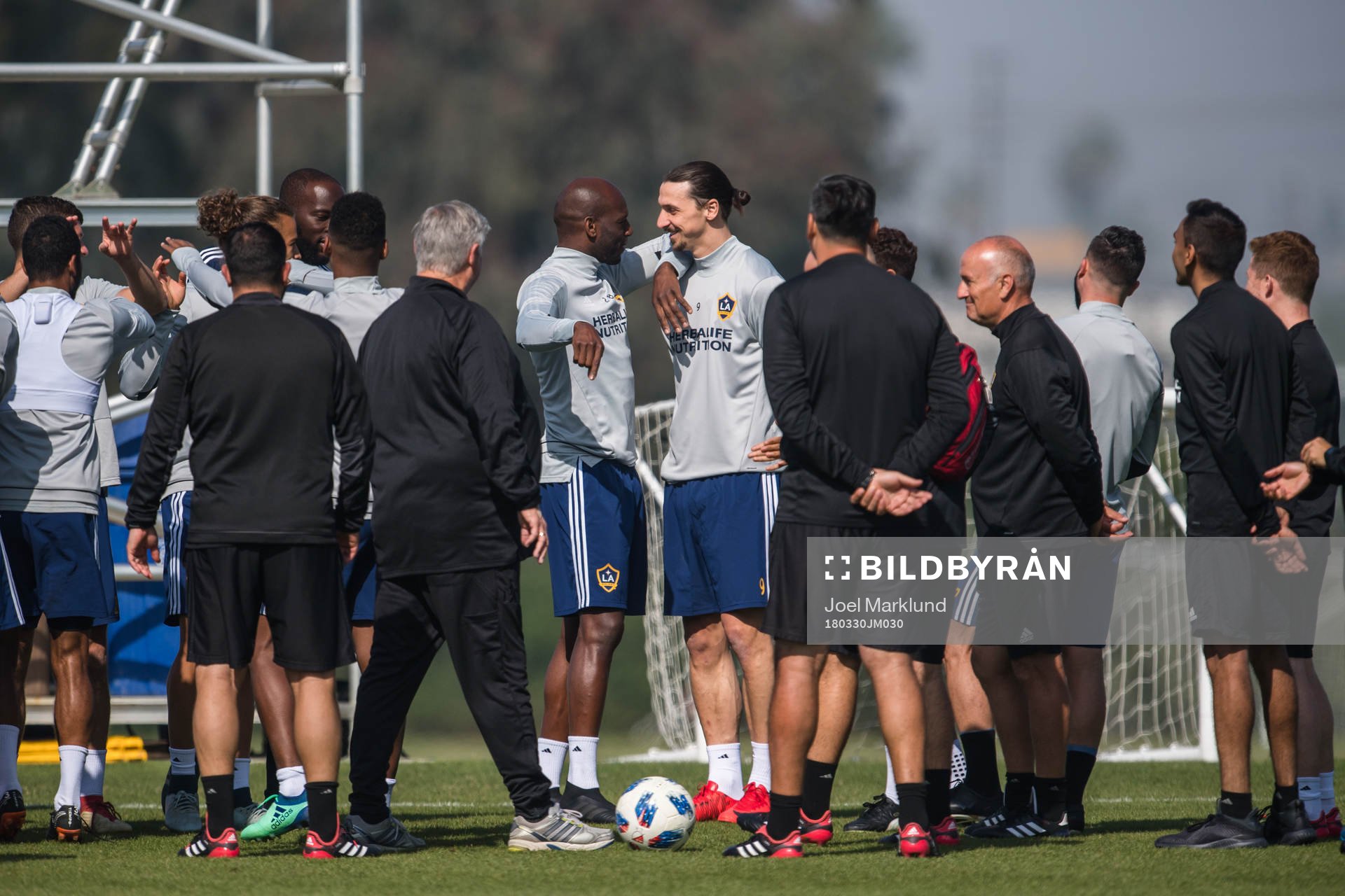 Zlatan Ibrahimovic