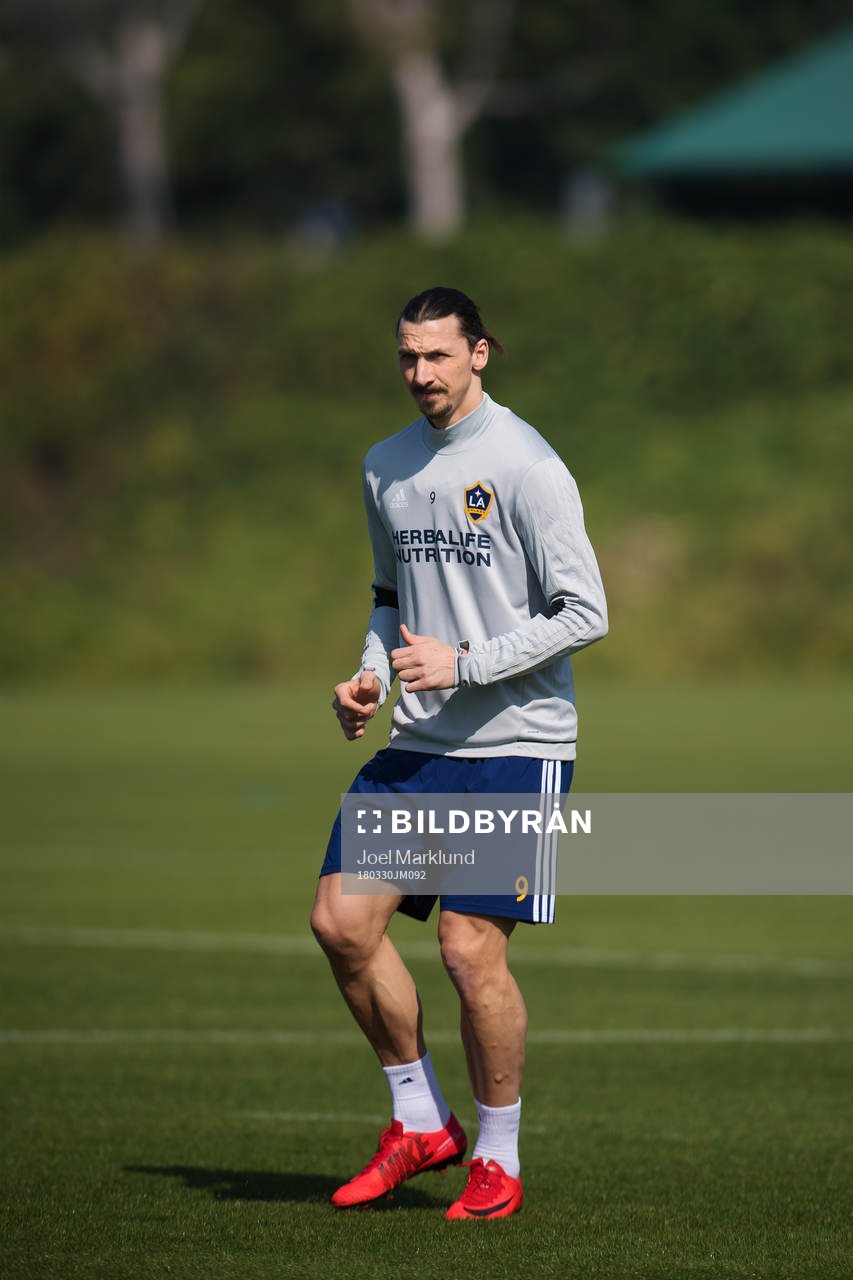 Zlatan Ibrahimovic