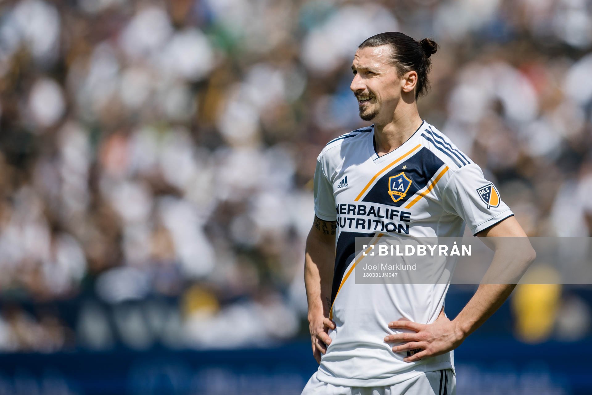 LA Galaxys Zlatan Ibrahimovic
