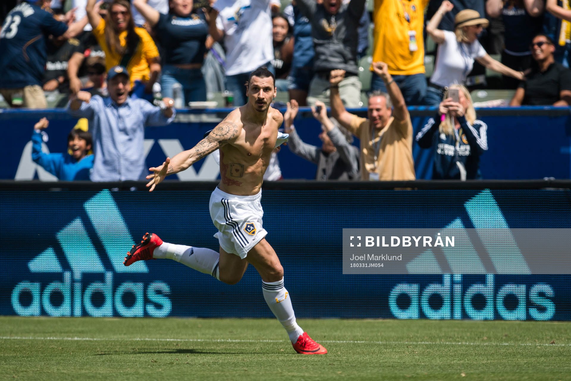 LA Galaxys Zlatan Ibrahimovic jublar
