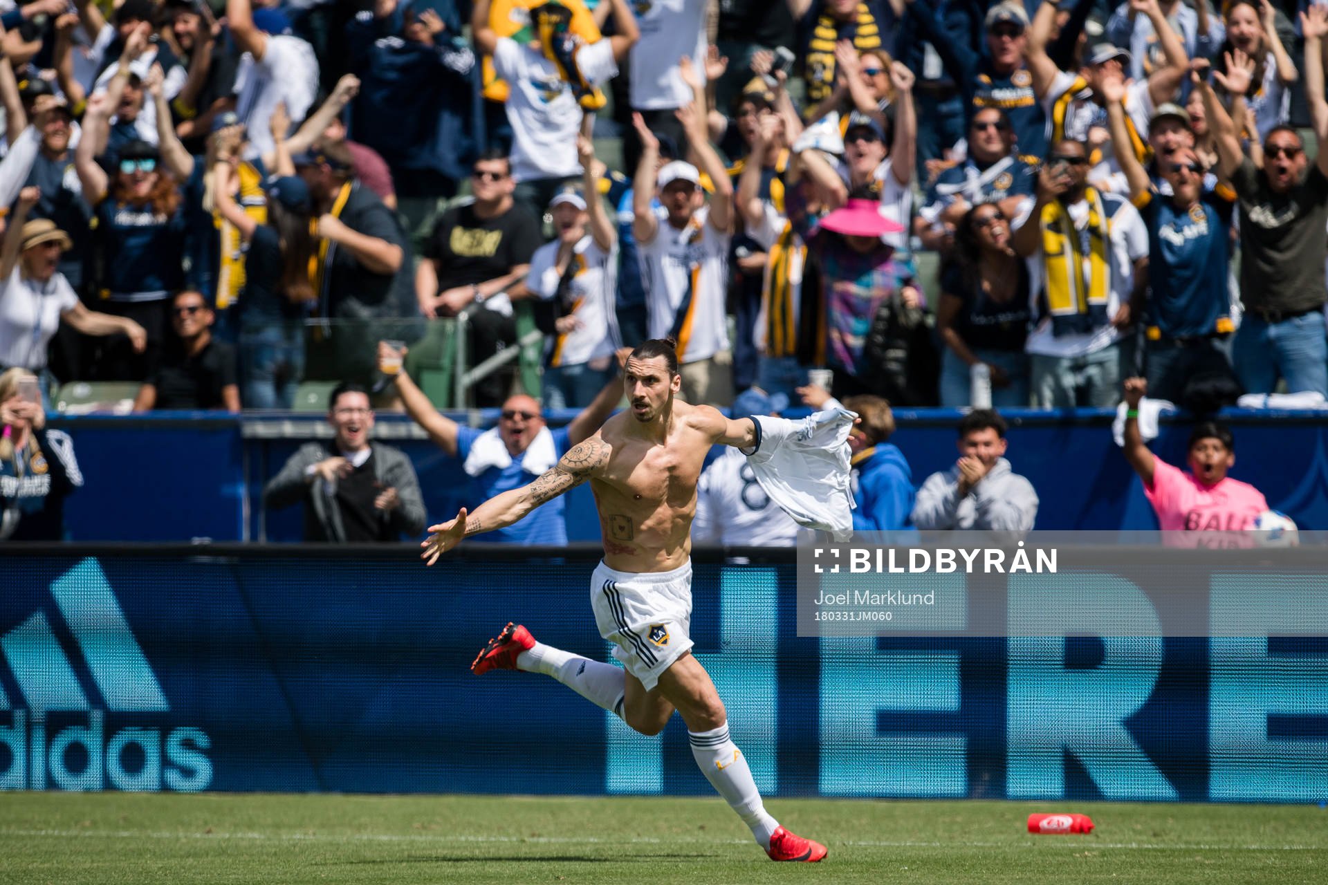 LA Galaxys Zlatan Ibrahimovic jublar