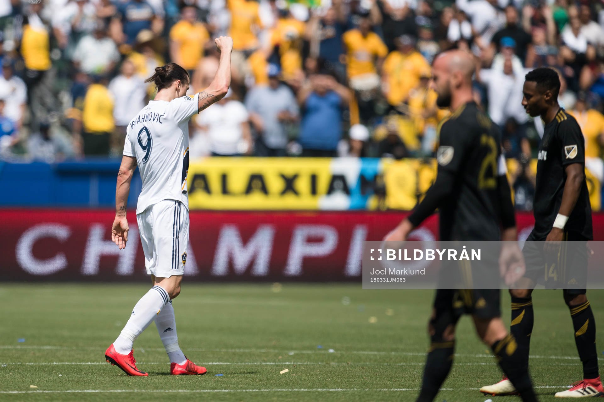 LA Galaxys Zlatan Ibrahimovic jublar