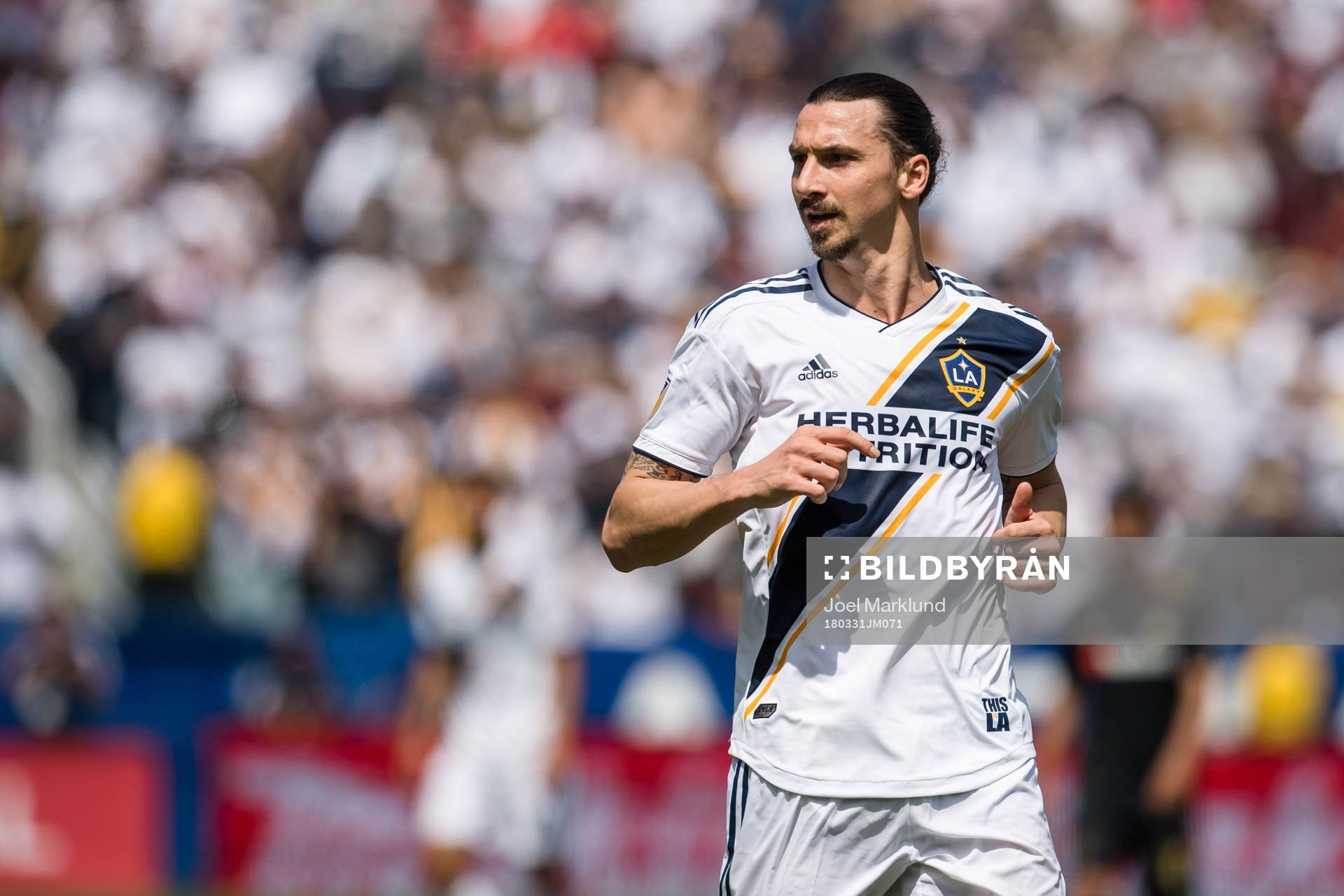 LA Galaxys Zlatan Ibrahimovic