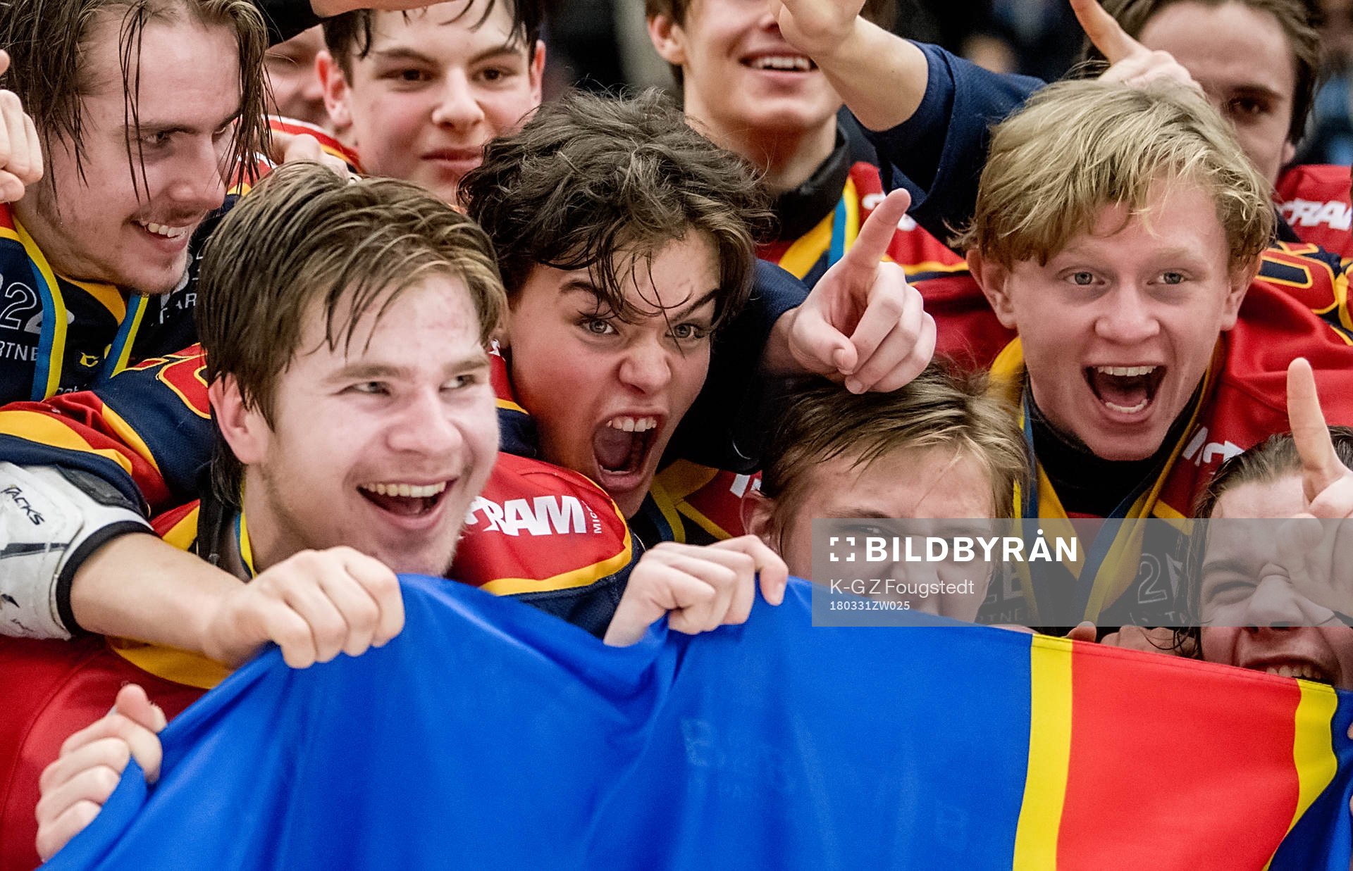 Djurgårdens spelare jublar