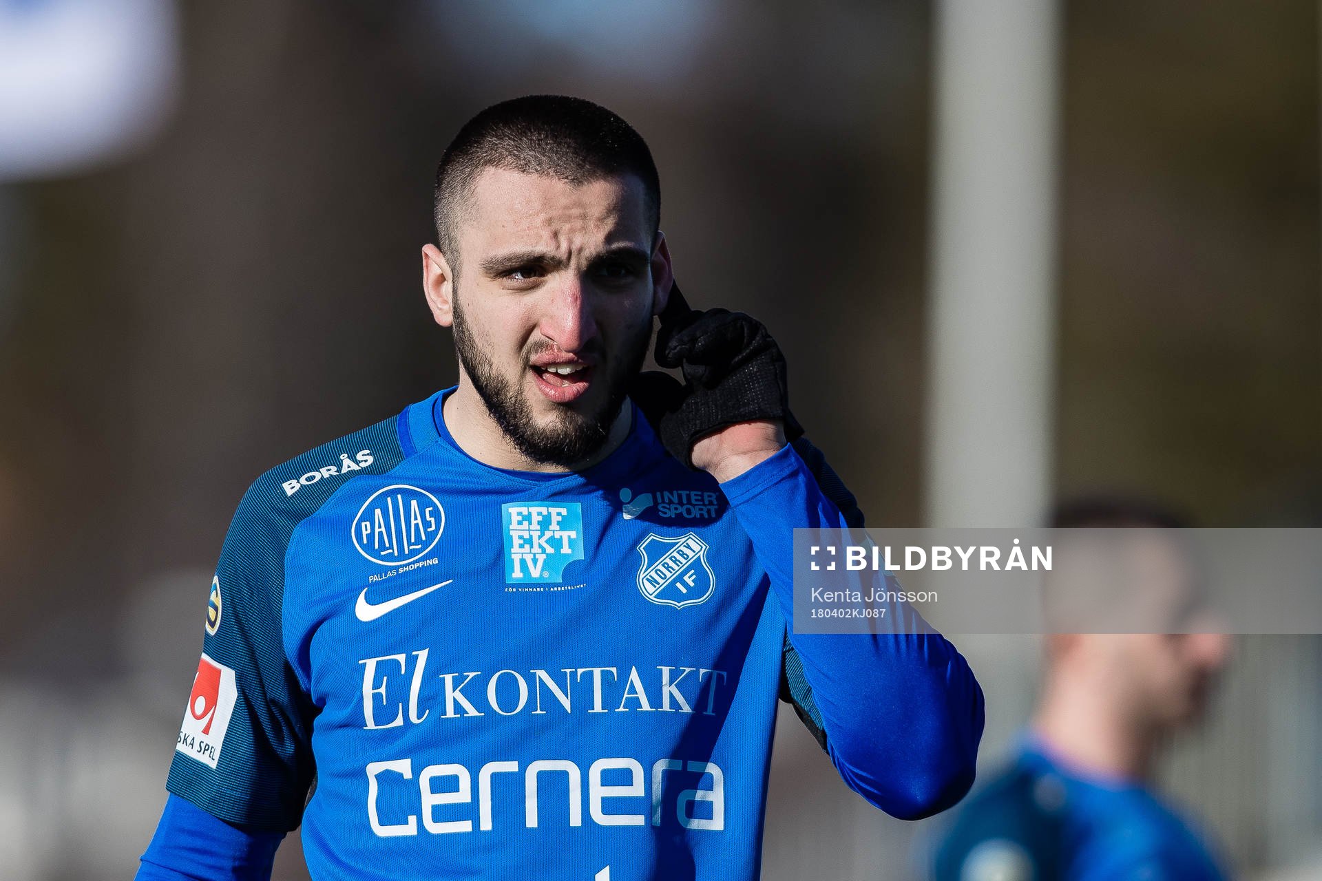 Norrbys Kardo Sarchel Aso Omar