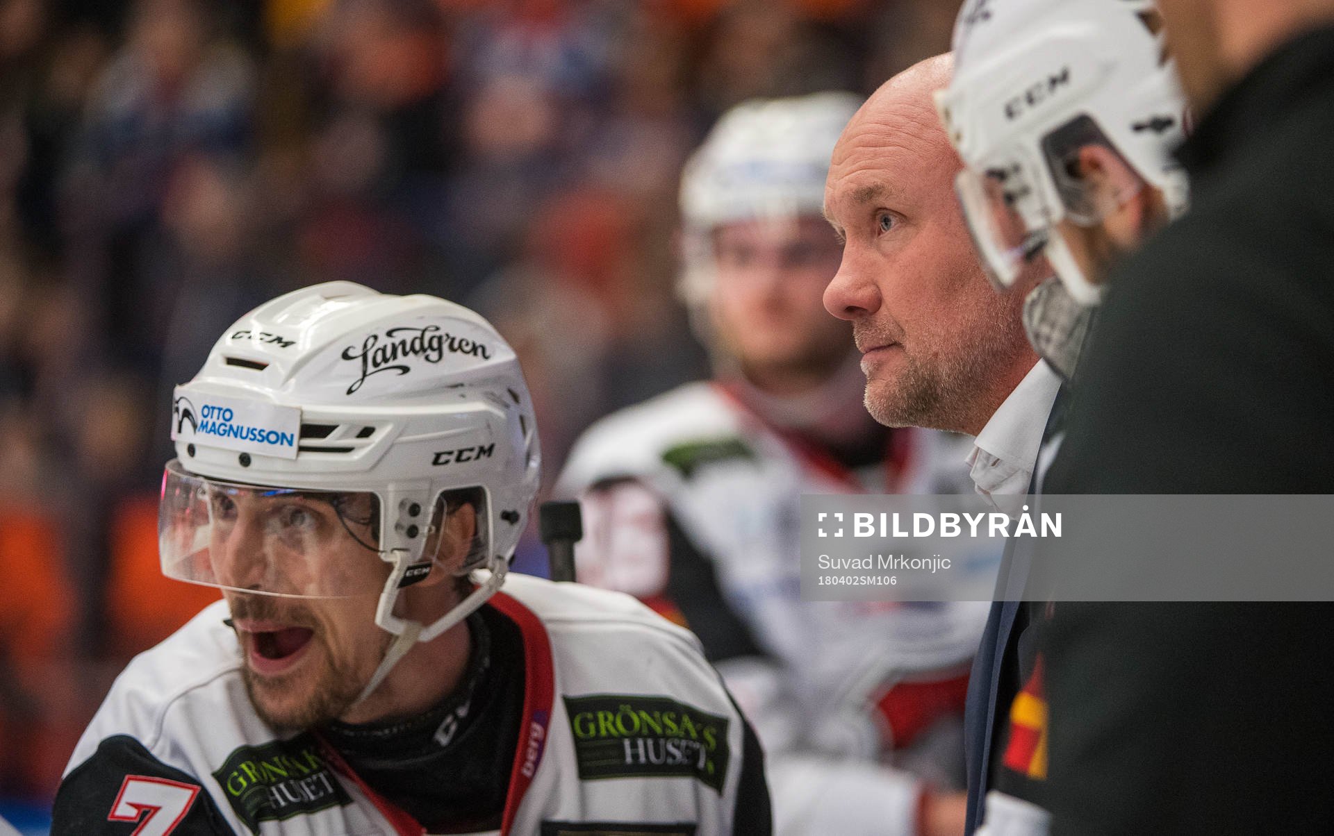 Malmö Redhawks tränare Peter Andersson ochh Nils Andersson