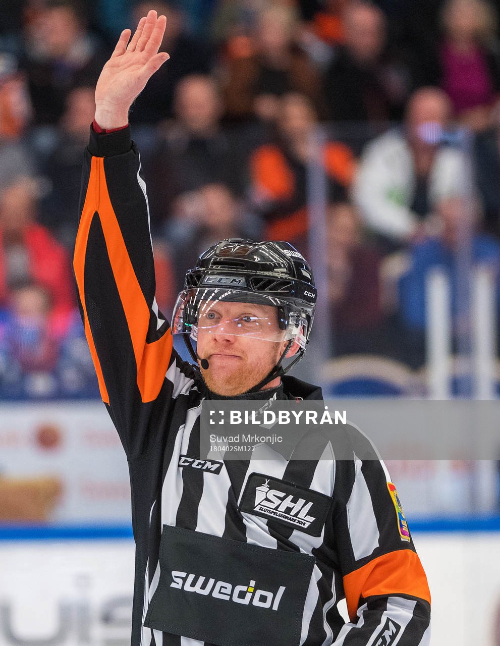 Domaren Mikael Holm