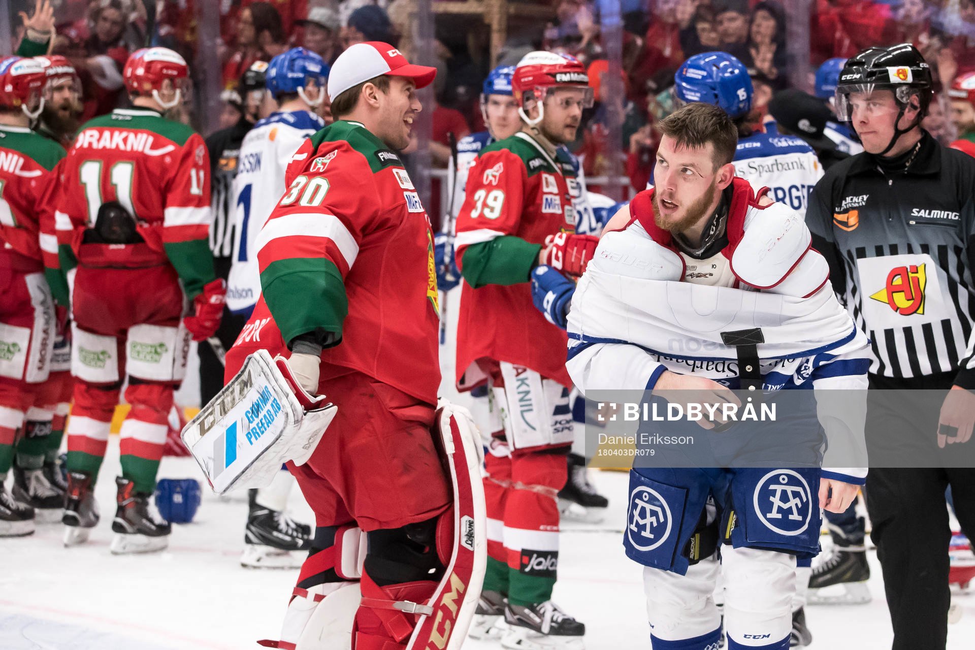 Leksands Matt Carey