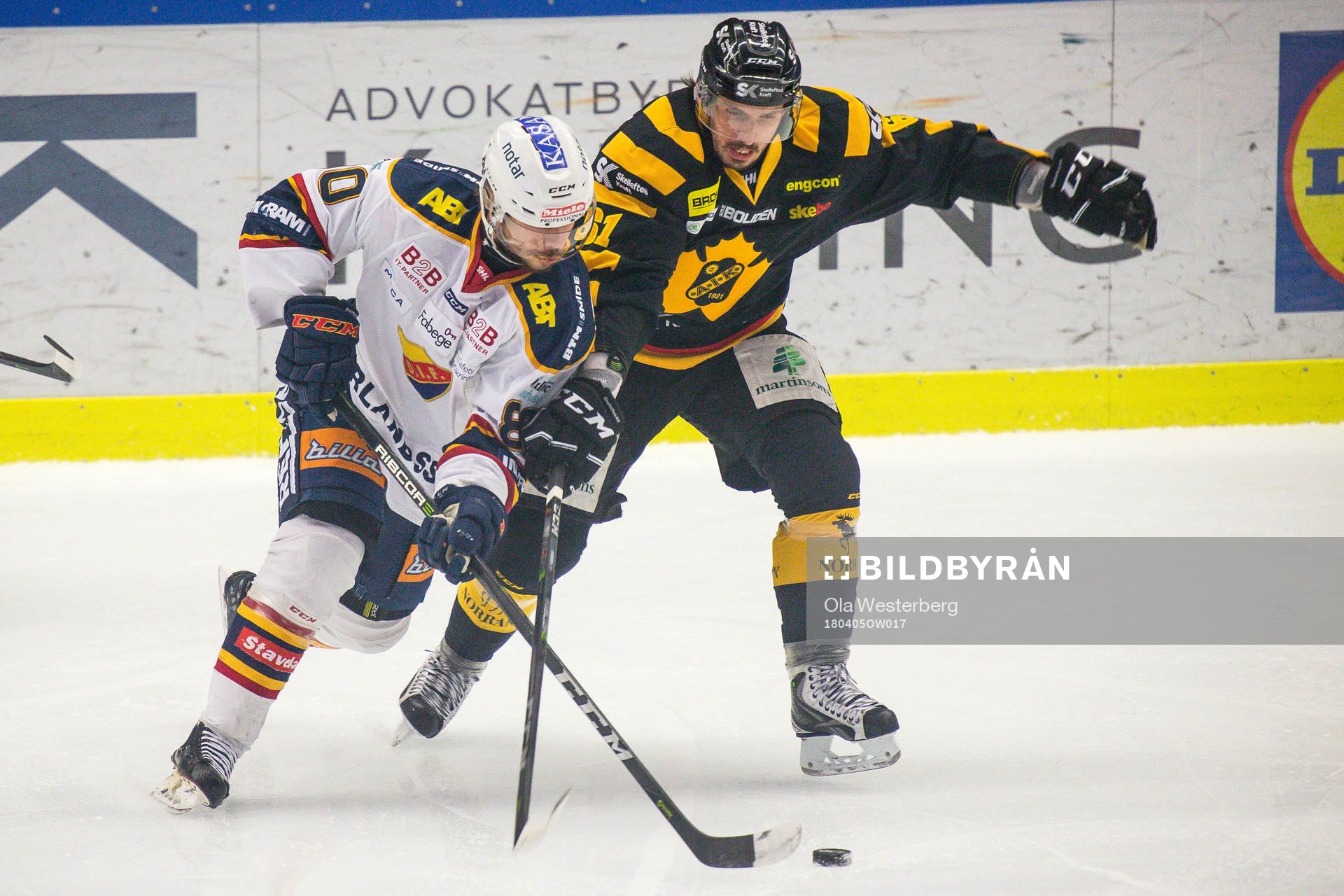 Skellefteås Fredrik Lindgren