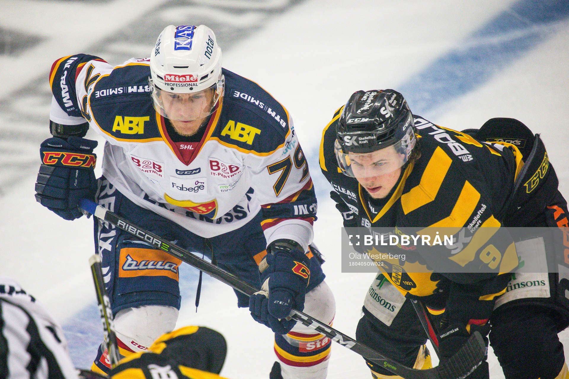 Skellefteås Tim Söderlund