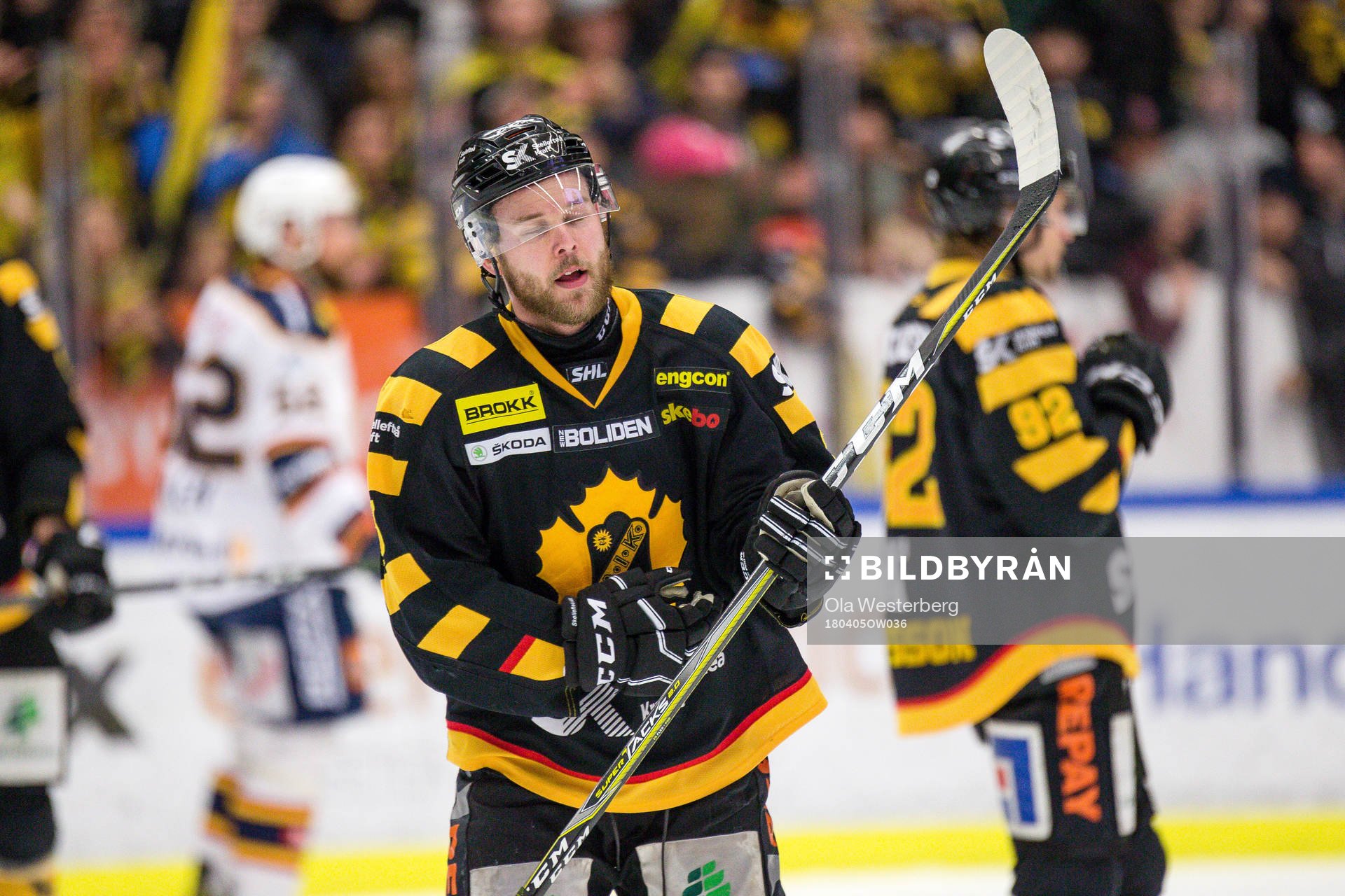 Skellefteås Mark Katic