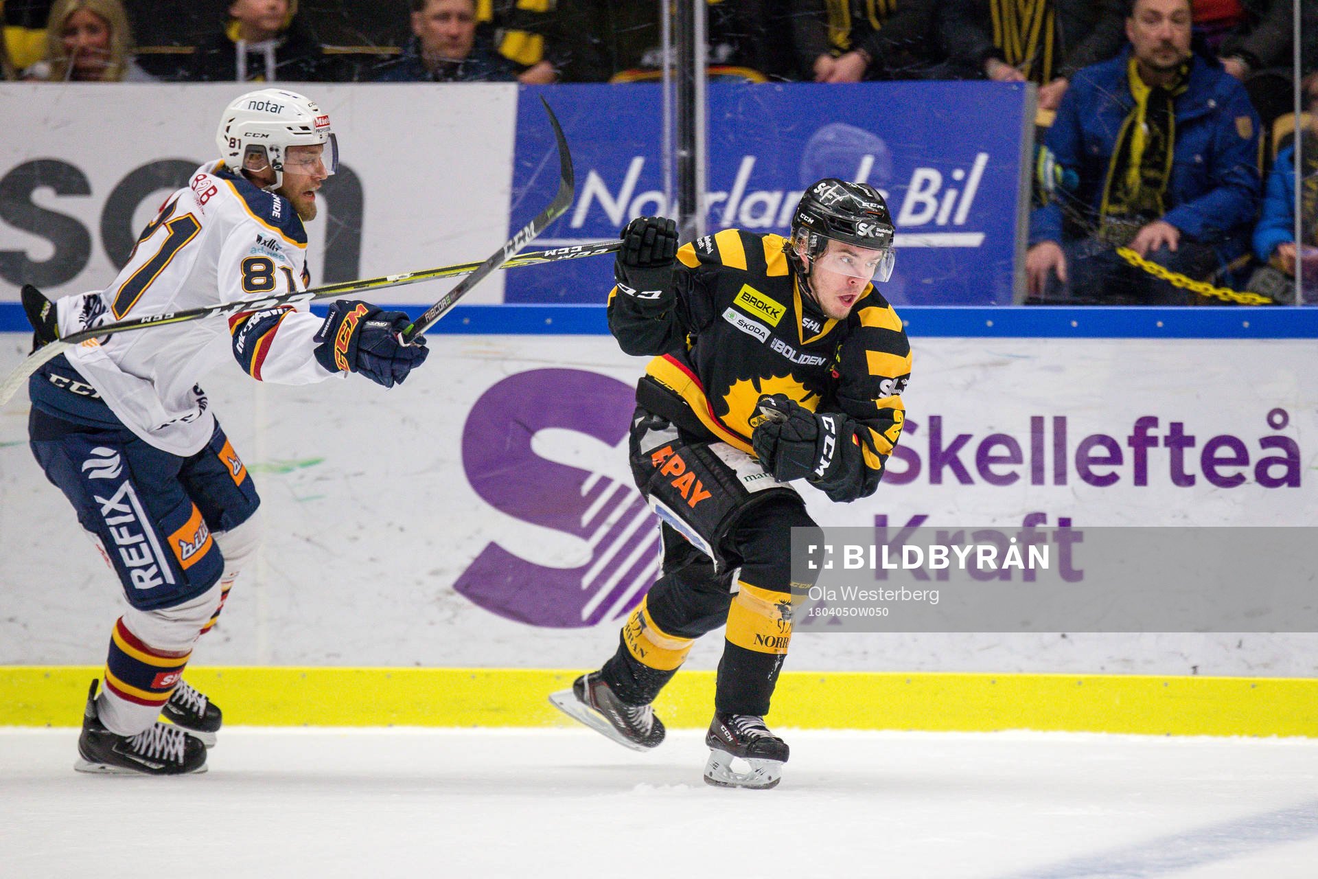 Skellefteås Andreas Wingerli