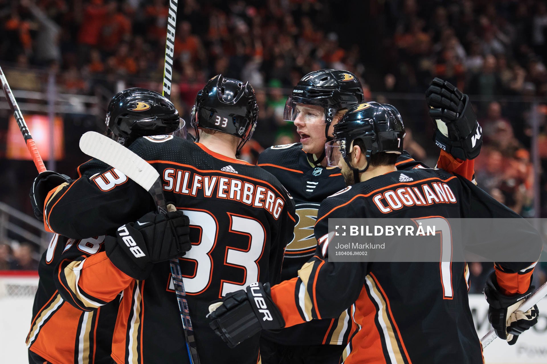 Ducks Derek Grant, Jakob Silfverberg, Hampus Lindholm och