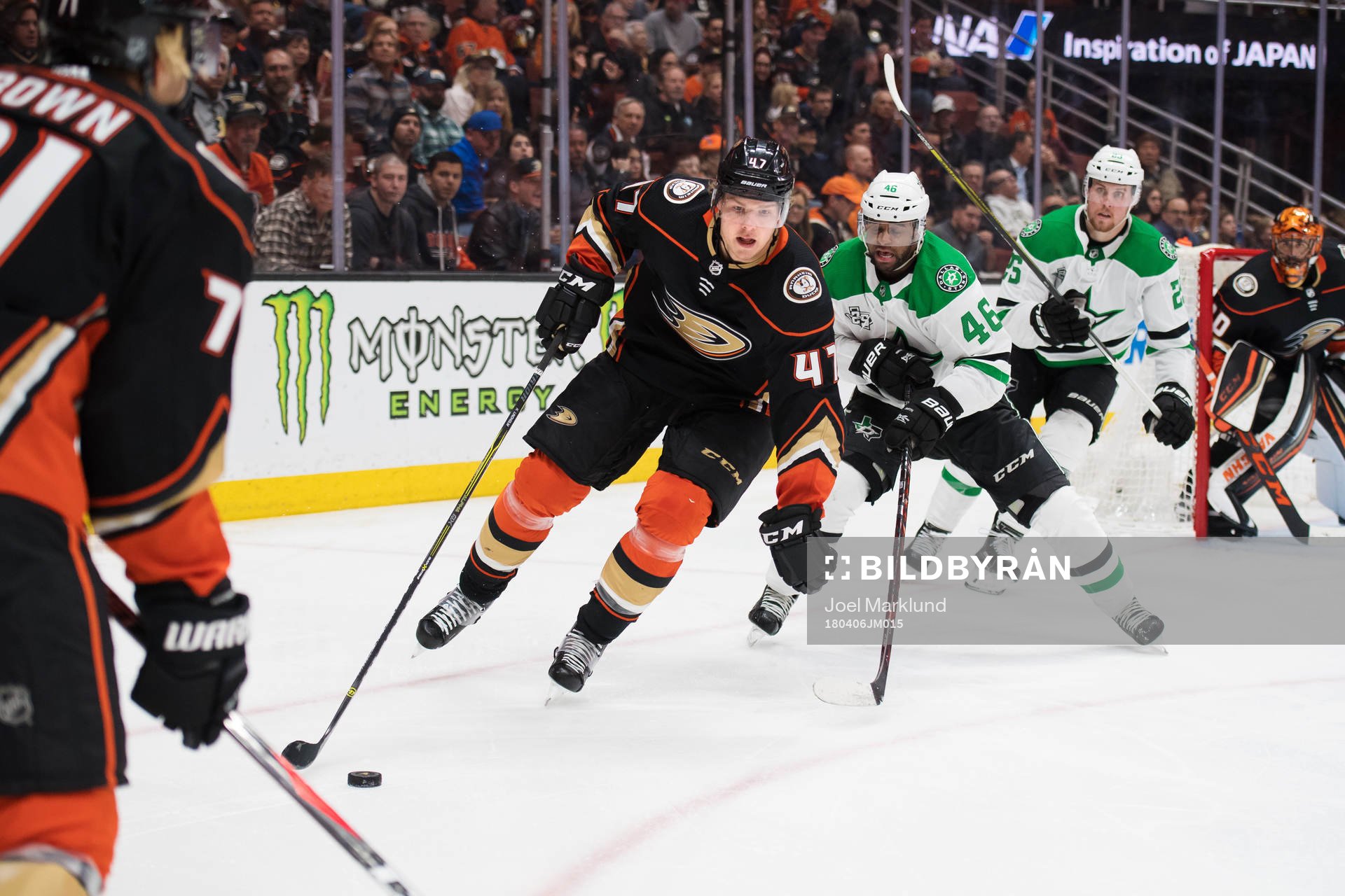 Ducks Hampus Lindholm och Stars Gemel Smith