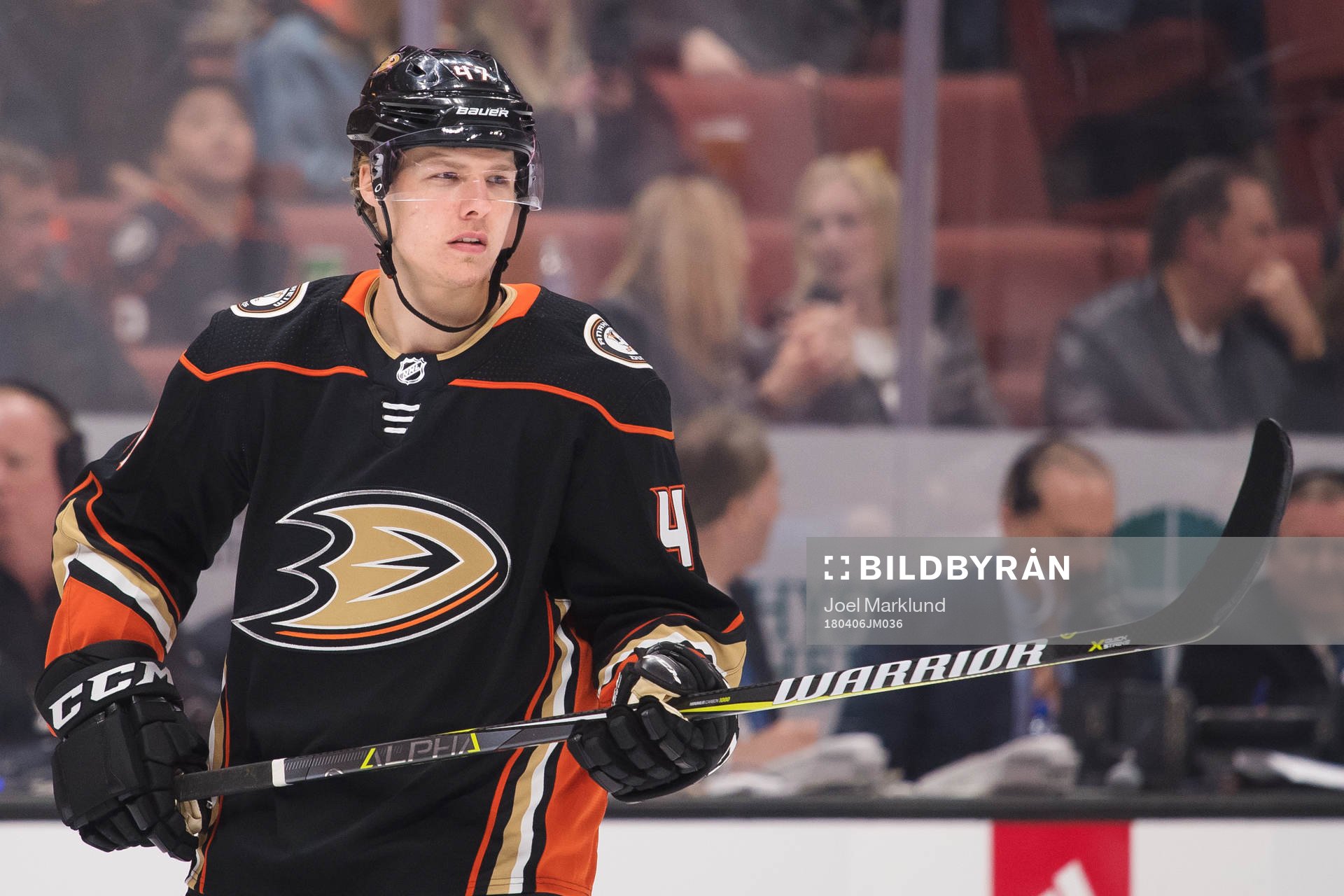Ducks Hampus Lindholm