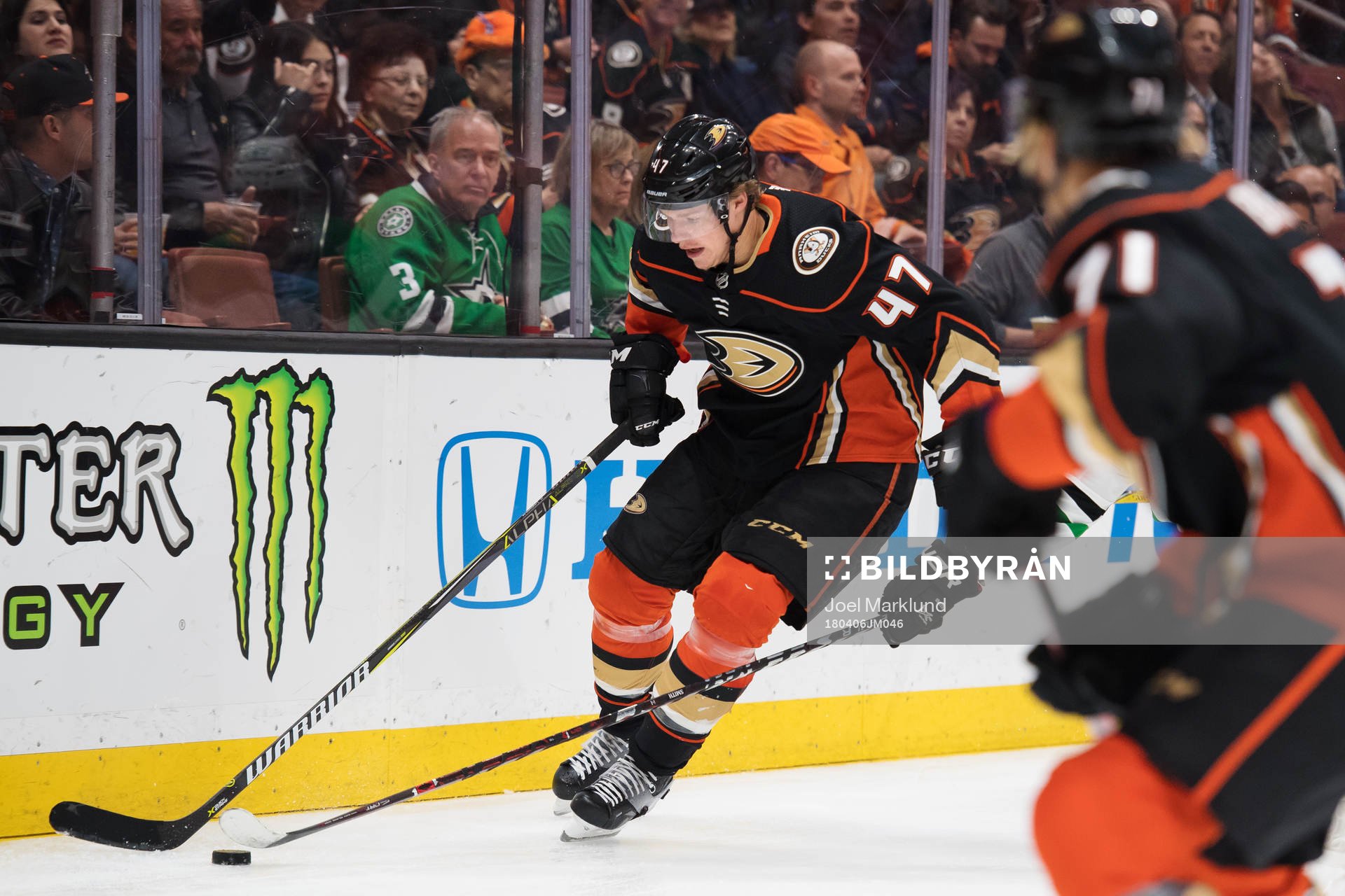 Ducks Hampus Lindholm