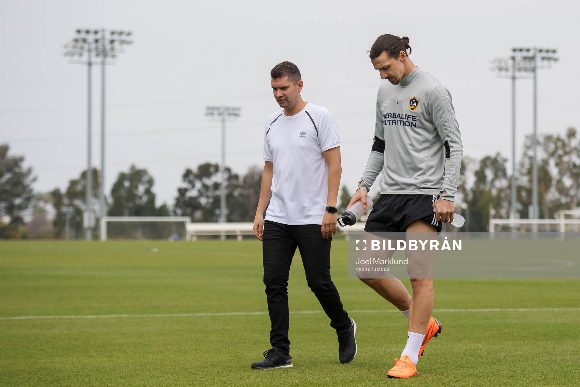 Zlatan Ibrahimovic lämnar MLS-laget LA Galaxys träning
