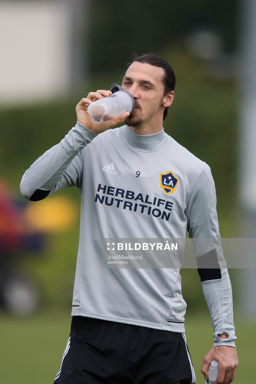 Zlatan Ibrahimovic dricker