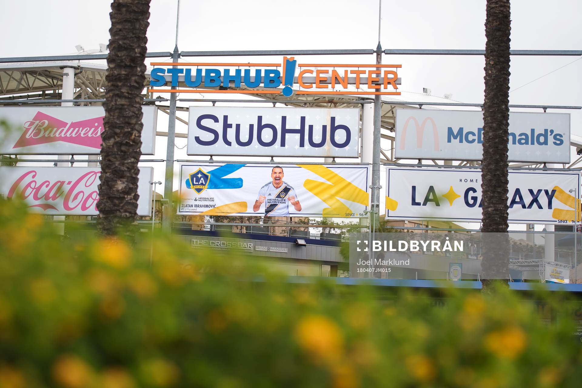 En affisch med Zlatan Ibrahimovic hänger på Stubhub