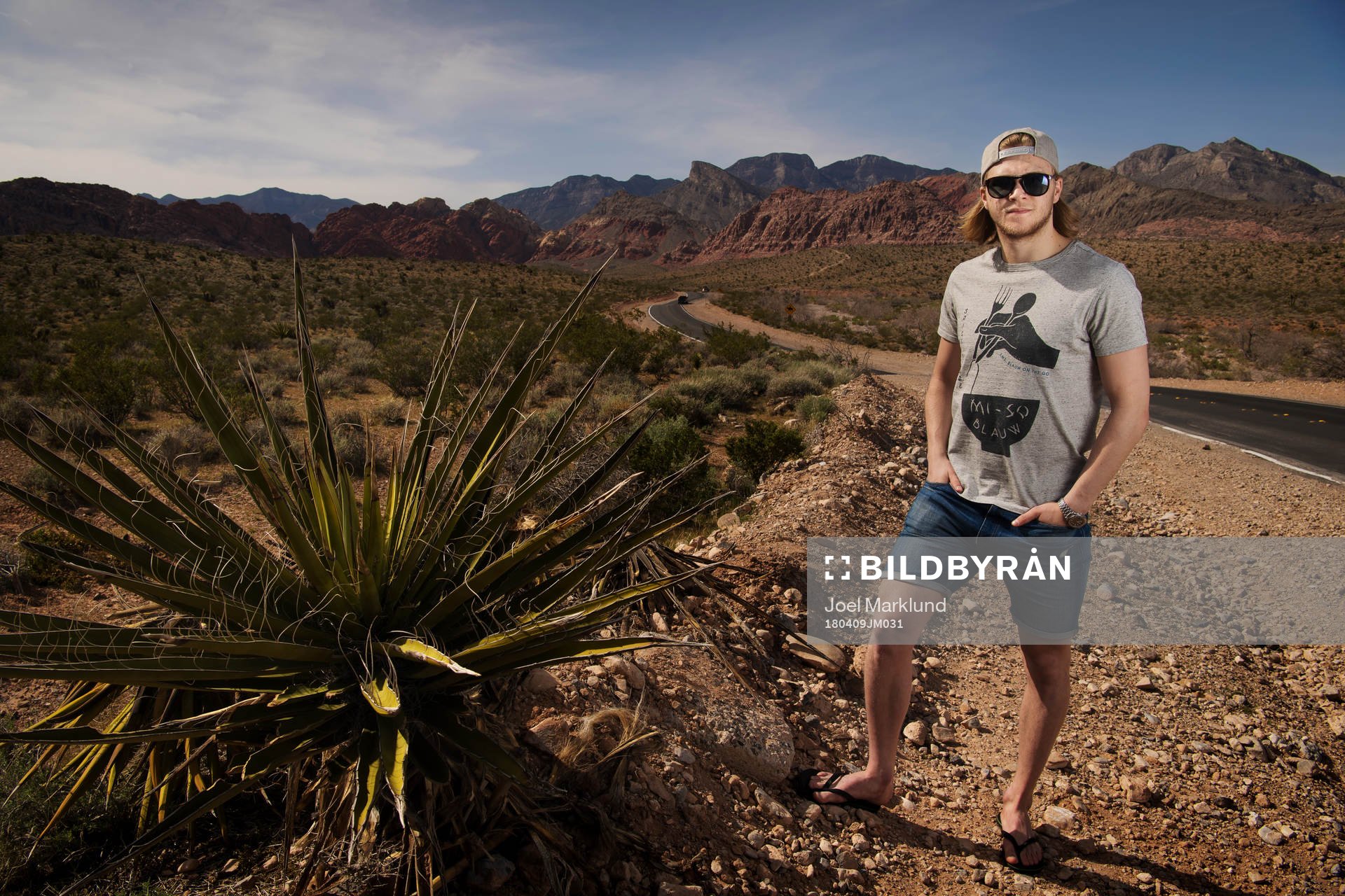 William Karlsson, ishockeyspelare i NHL-laget Vegas Golden