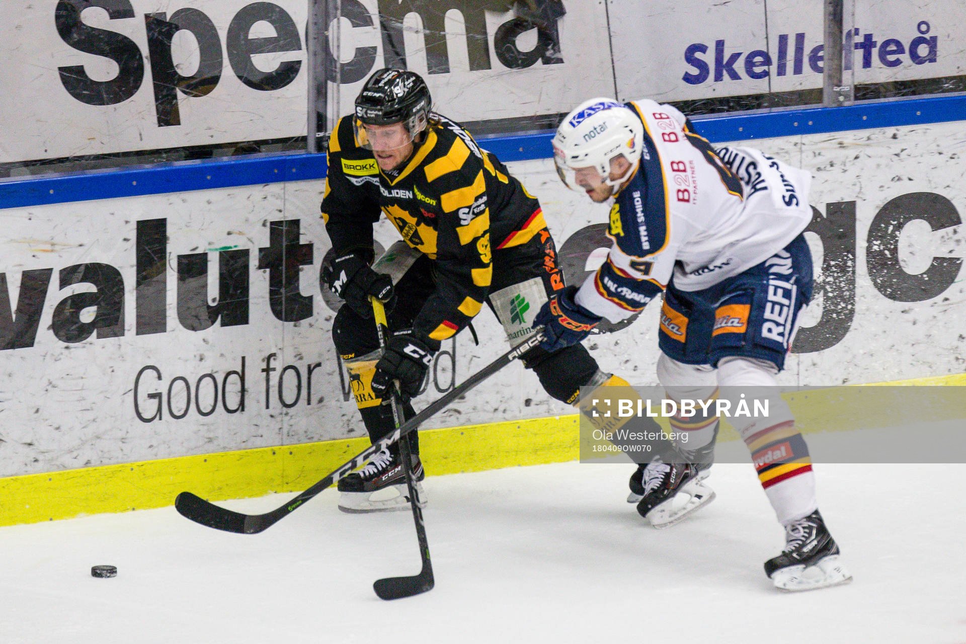 Skellefteås Jesper Olofsson