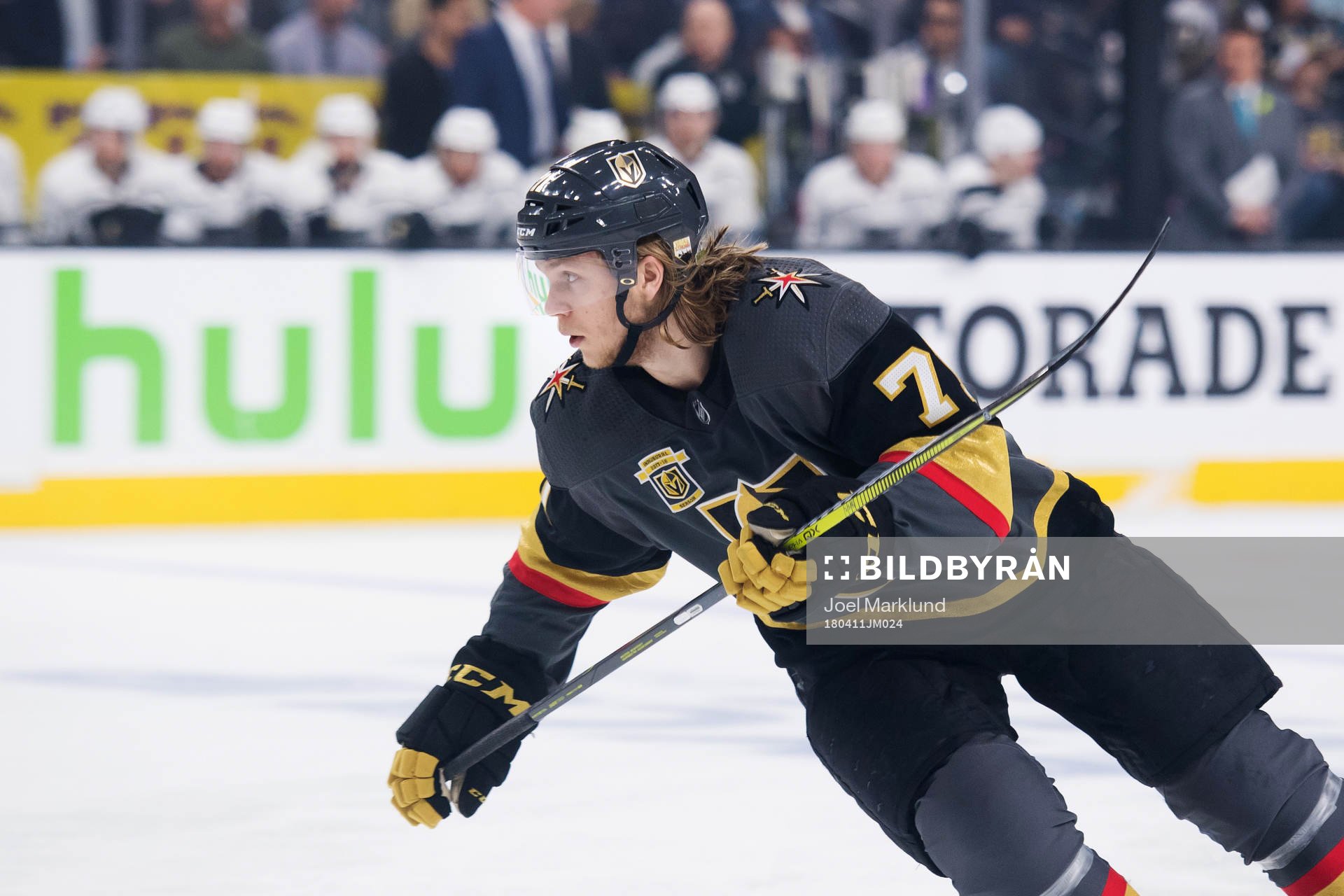 Vegas William Karlsson
